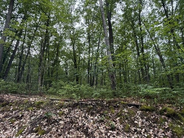 4th image of V/L Beechwood Dr, Lyon Township Roscommon, MI 48653 | MLS# 77080070924