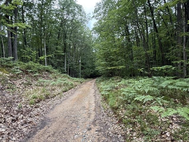 7th image of V/l Beechwood Dr, Lyon Township Roscommon, MI 48653 | MLS# 77080070924