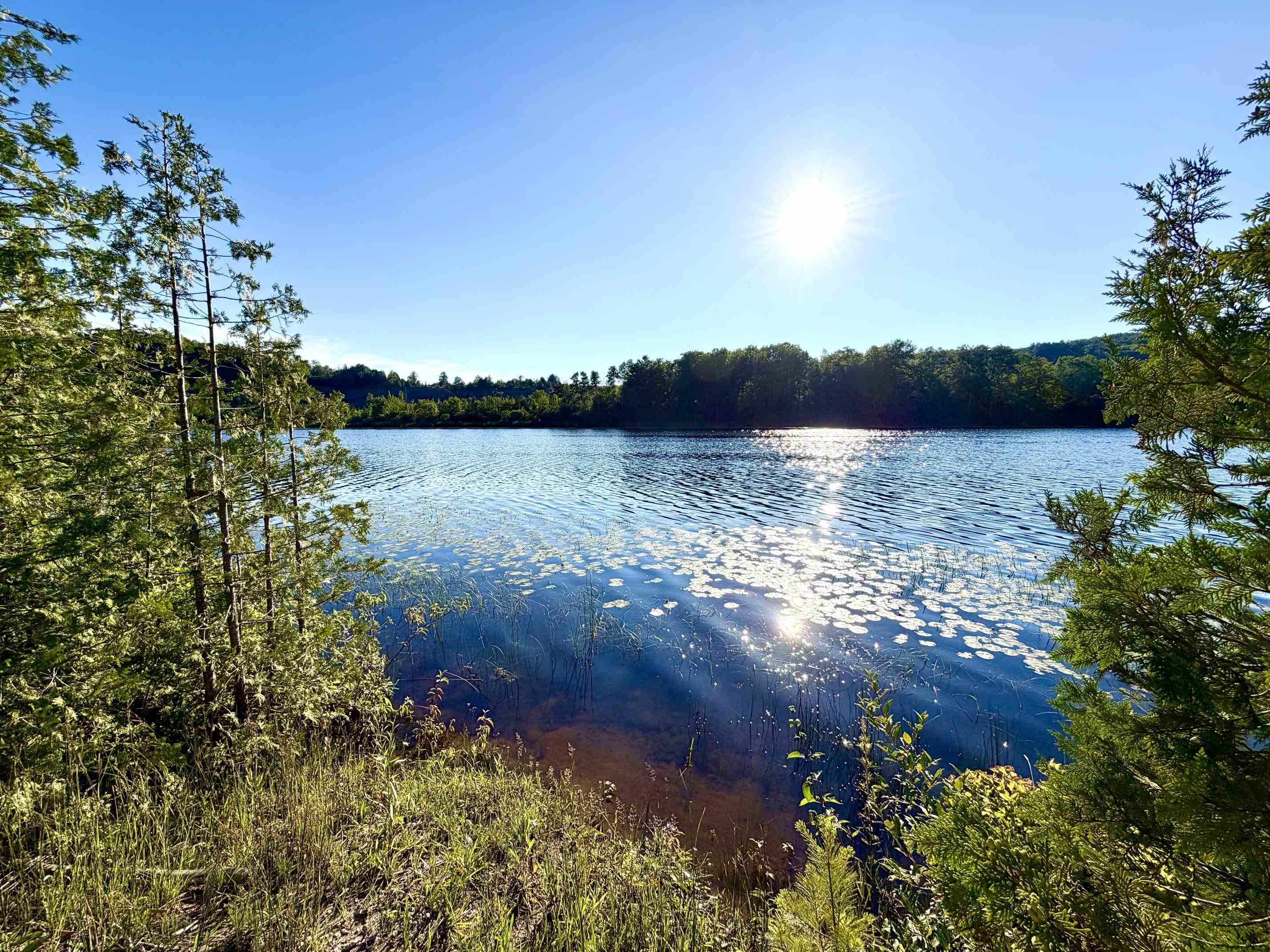 Homes for sale in Ellsworth, MI | 7932 Rushton Rd, Ellsworth, MI 49729 | MLS# 80070939