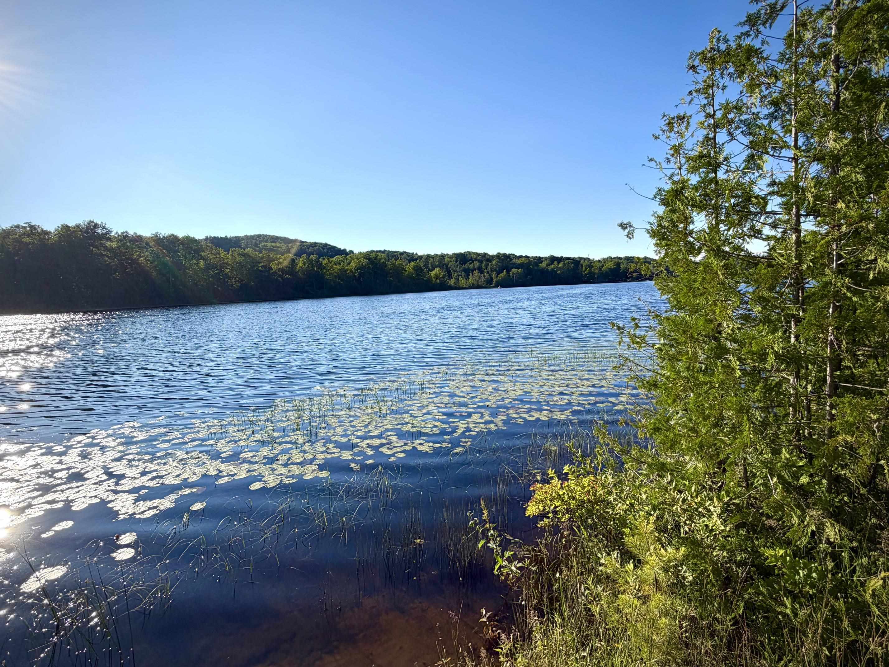 Homes for sale in Ellsworth, MI | 7932 Rushton Rd, Ellsworth, MI 49729 | MLS# 80070939