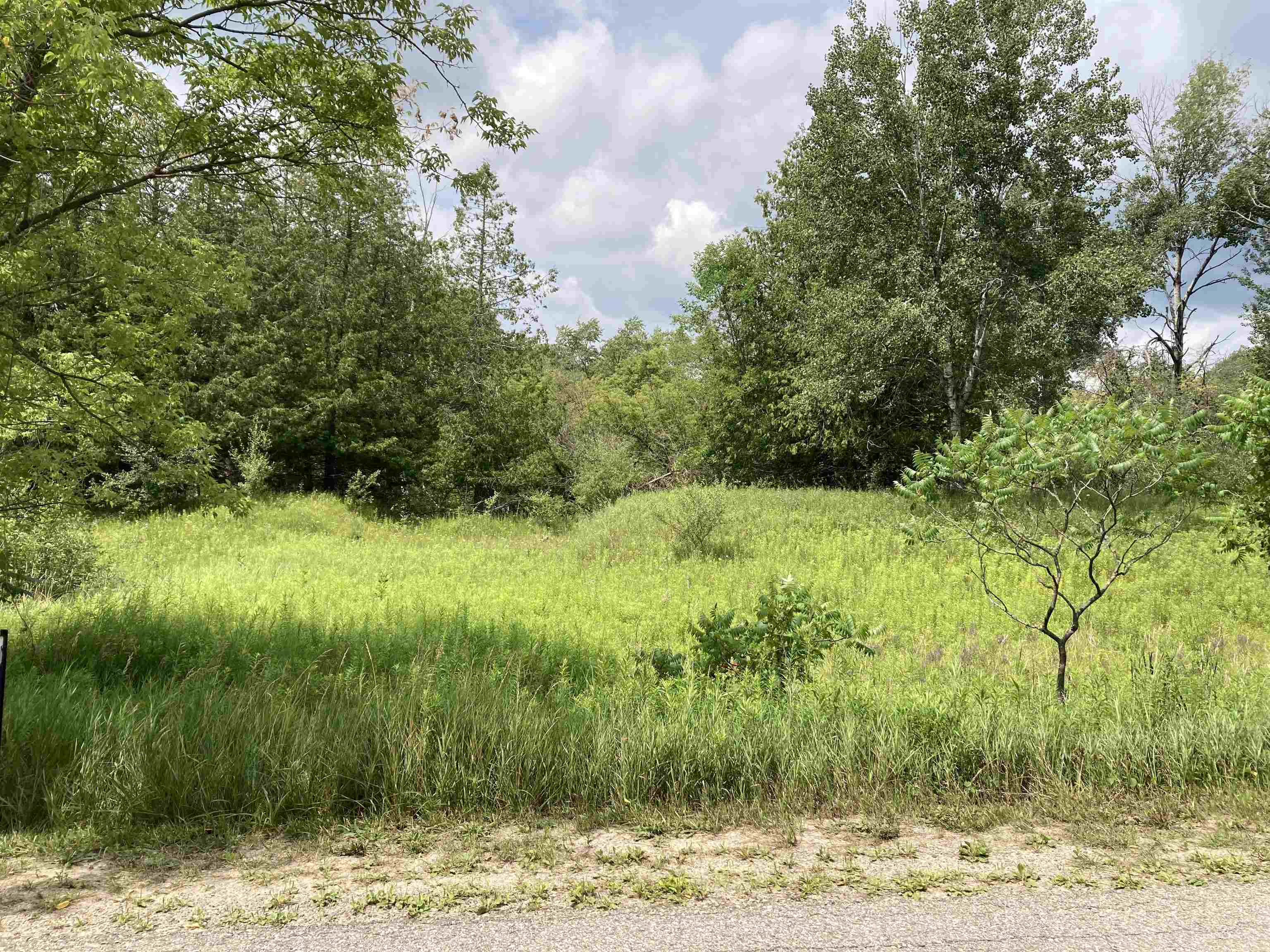 Homes for sale in Rose City, MI | N/a Beechwood Rd, Rose City, MI 48654 | MLS# 80070949
