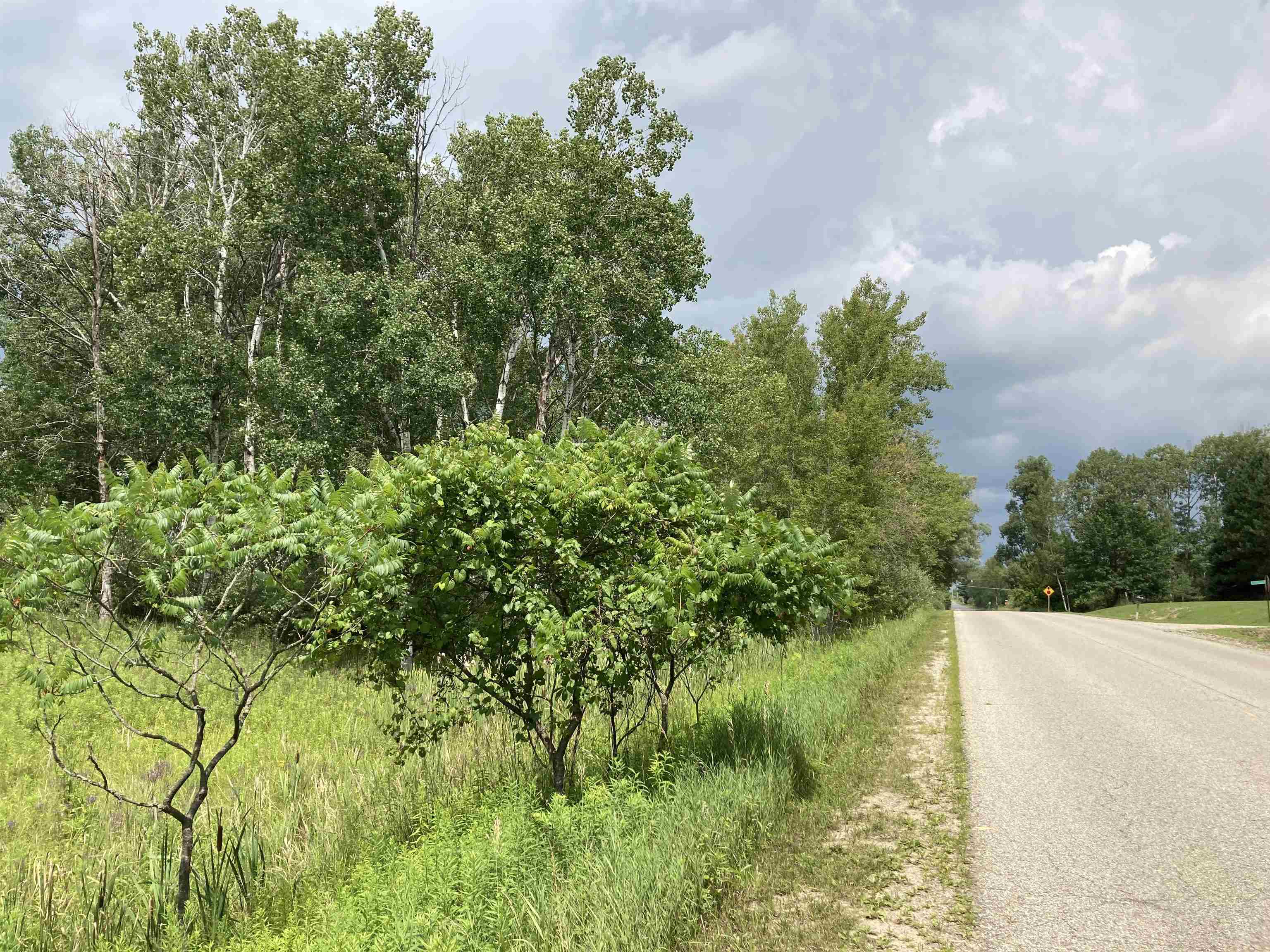 Homes for sale in Rose City, MI | N/A Beechwood Rd, Rose City, MI 48654 | MLS# 80070949