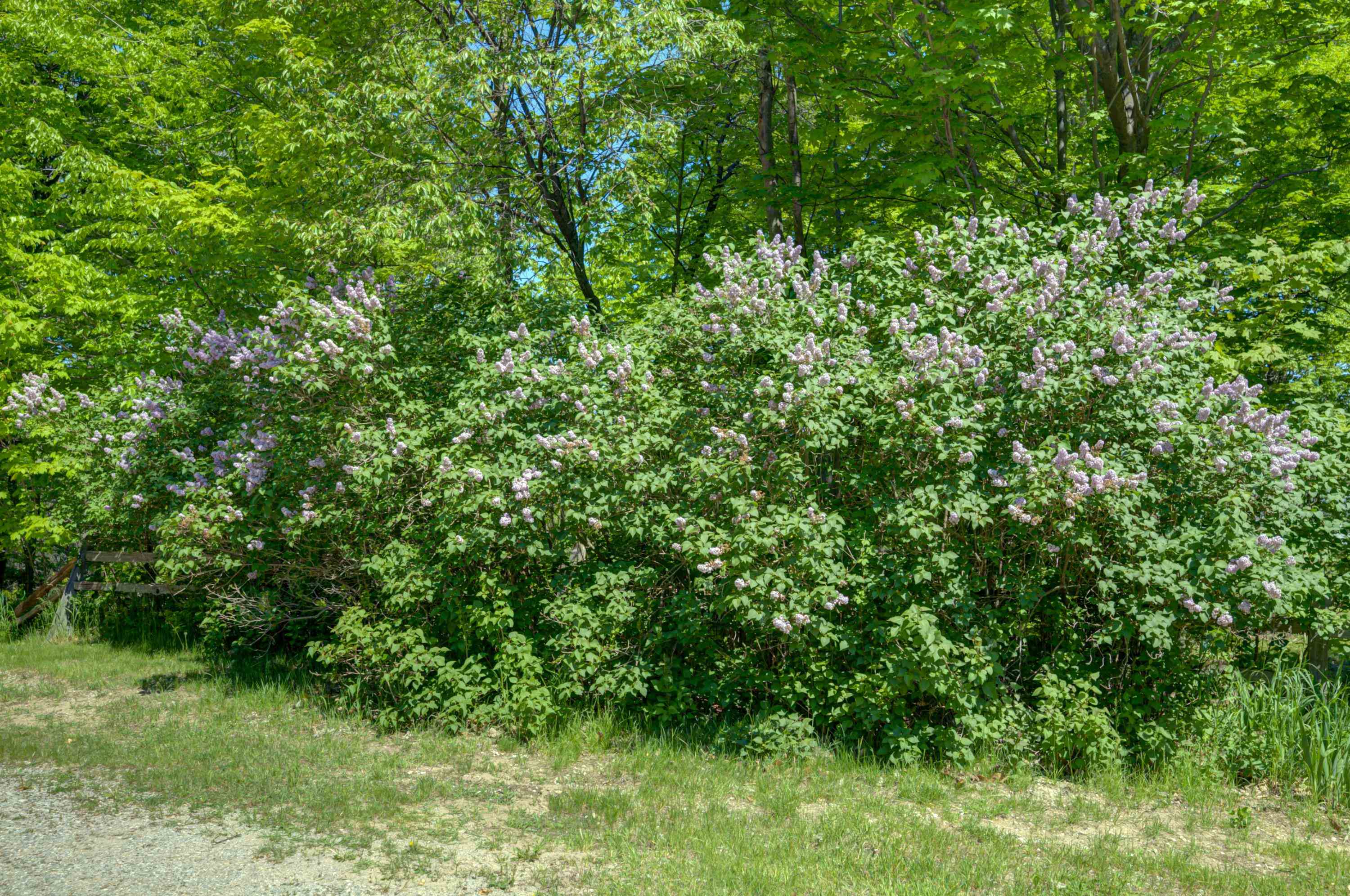 4th image of 8134 Nw Ruttan Rd, Alden, MI 49612 | MLS# 80070994