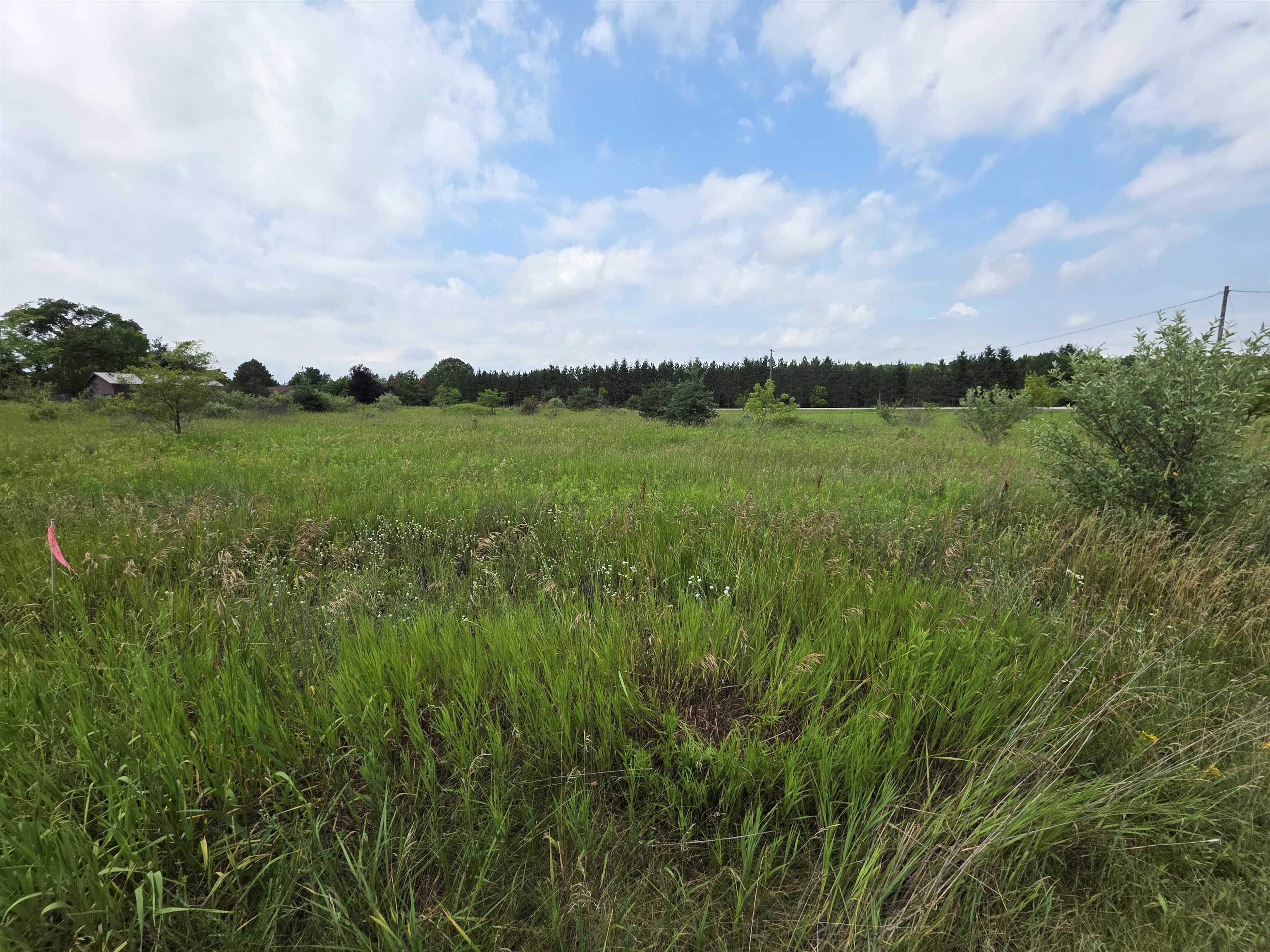 1st image of Tbd W Remus Rd, Mount Pleasant, MI 48858 | MLS# 80071009