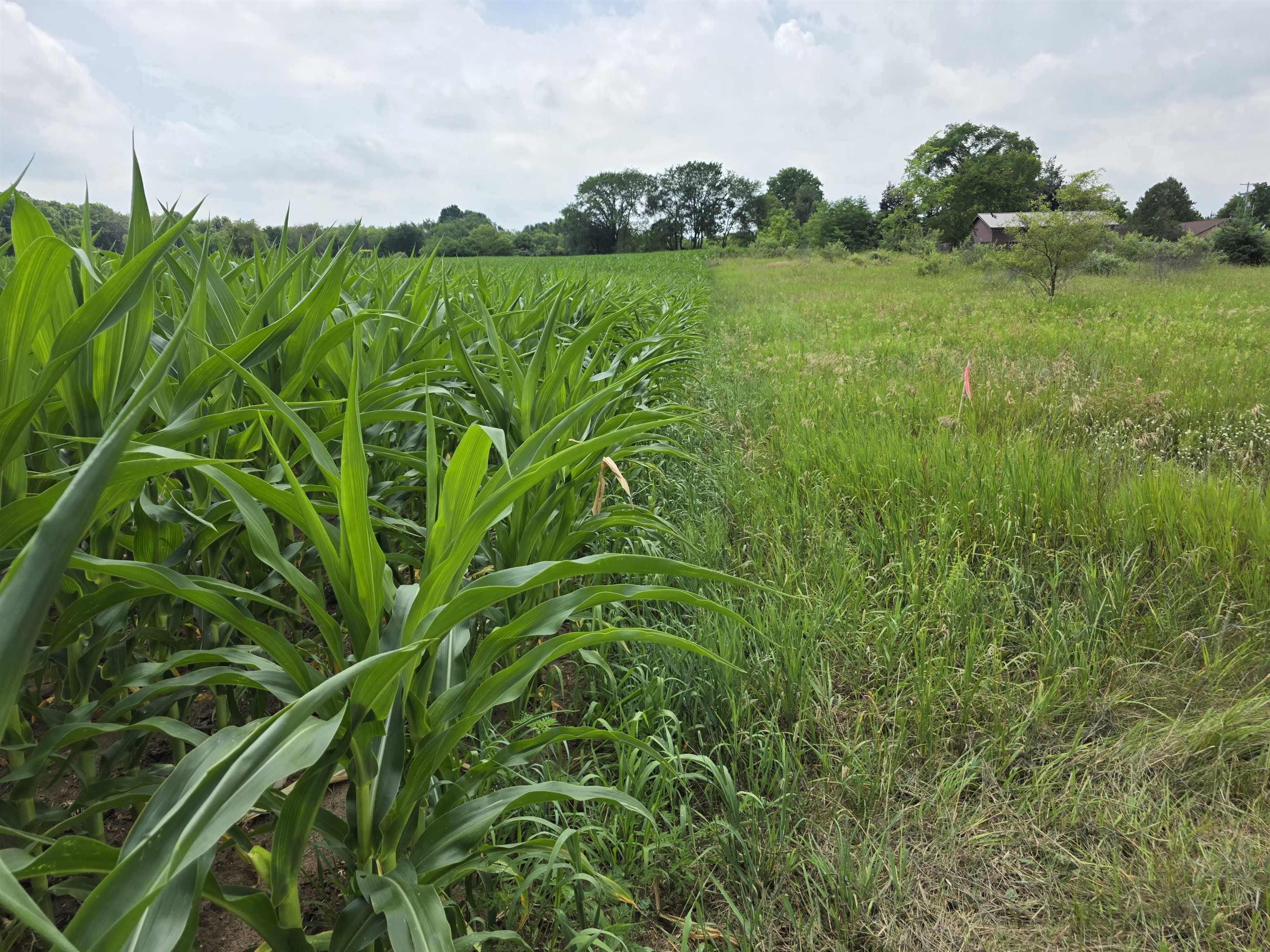 3rd image of Tbd W Remus Rd, Mount Pleasant, MI 48858 | MLS# 80071009