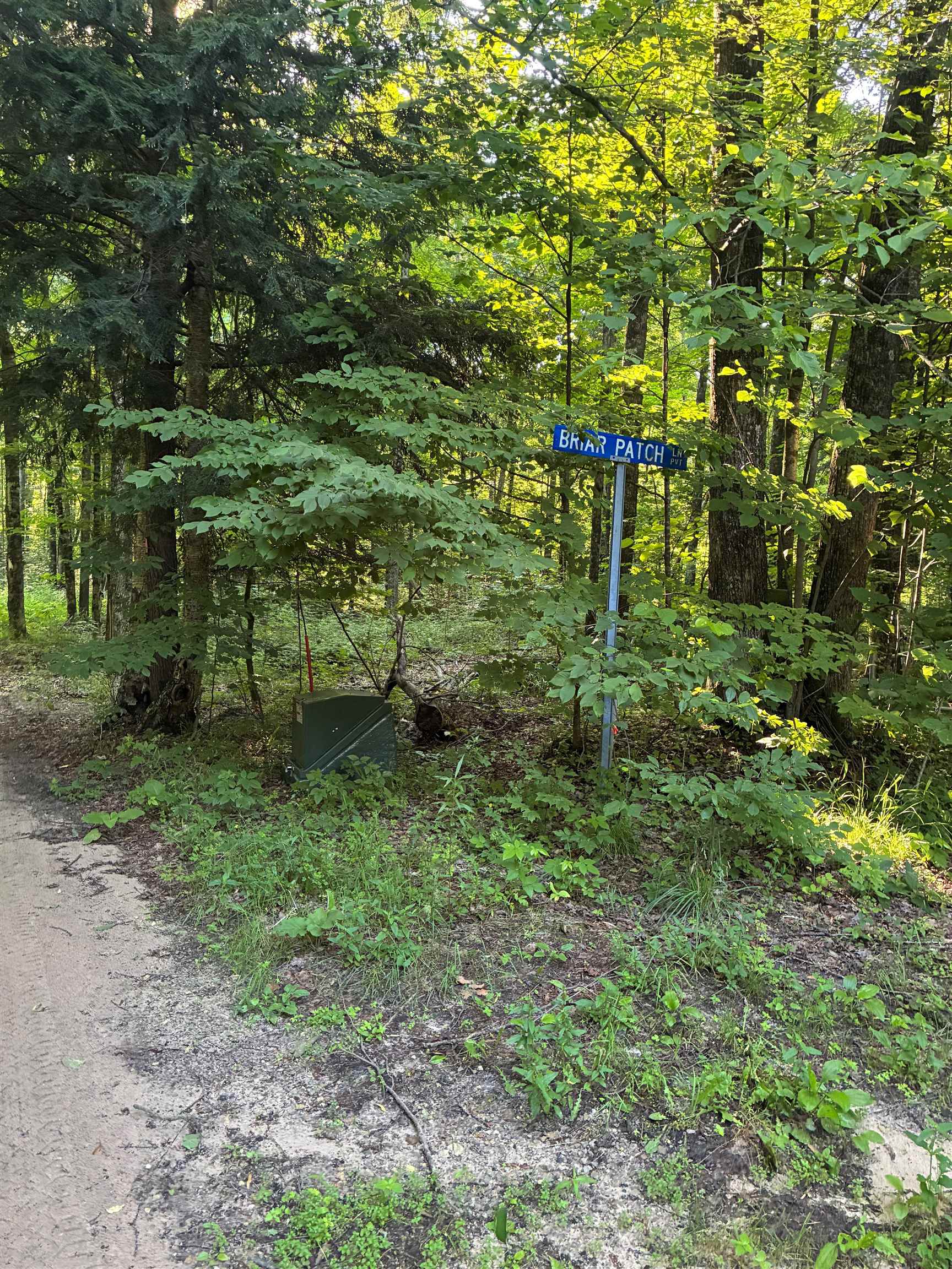 13th image of Mary Dale Ln, Mancelona, MI 49659 | MLS# 80071026