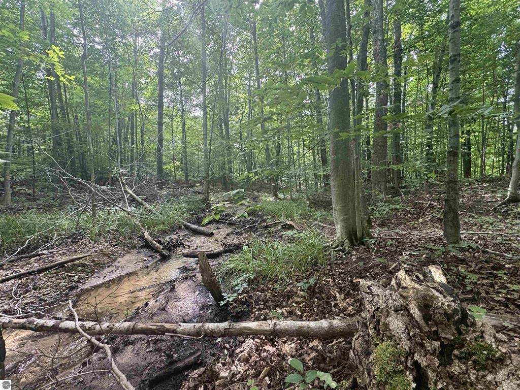 2nd image of 0 Six Mile Lake Rd, Ellsworth, MI 49729 | MLS# 78080071031