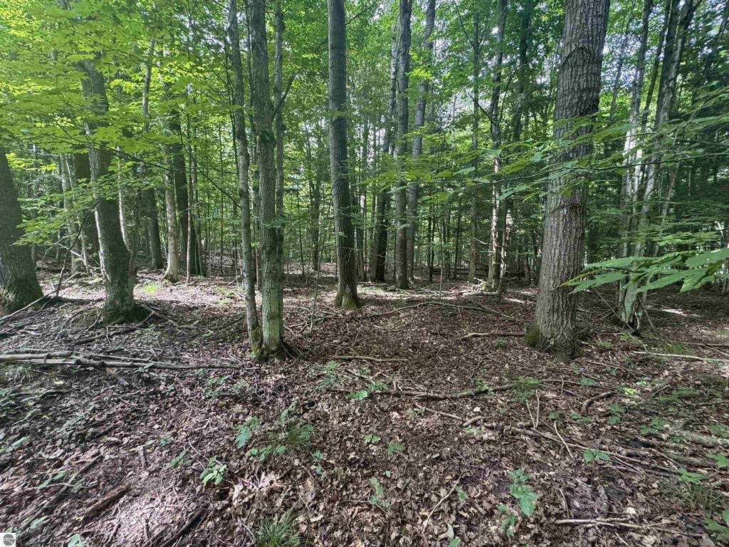 9th image of 0 Six Mile Lake Rd, Ellsworth, MI 49729 | MLS# 78080071031