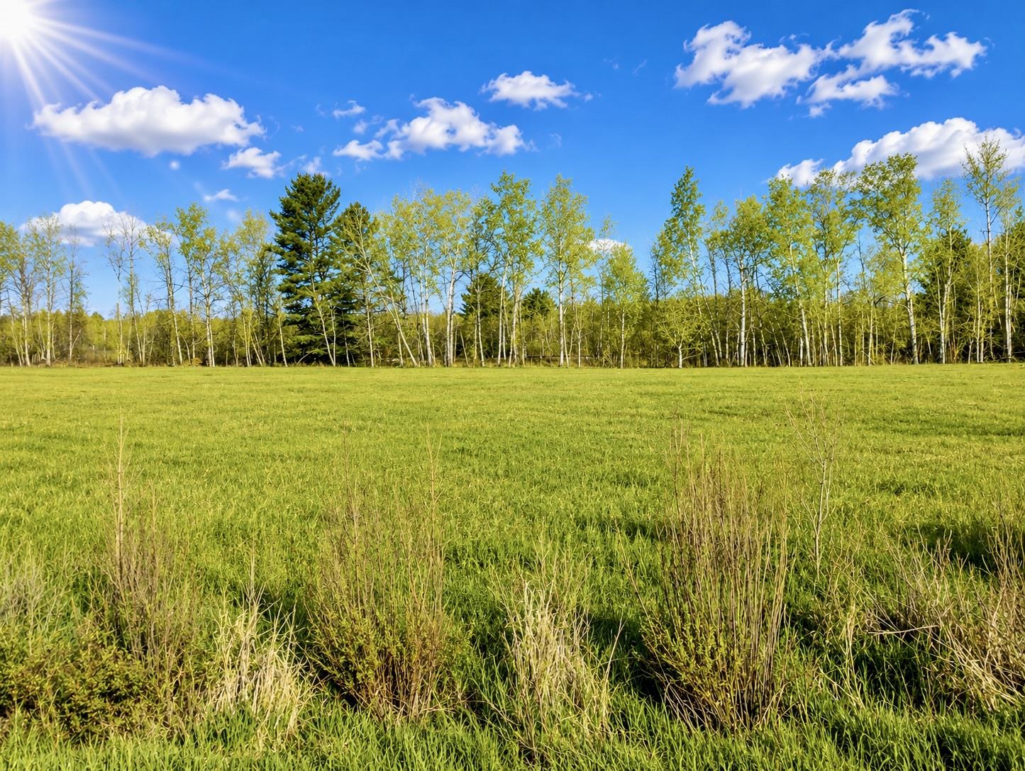 3rd image of N/A National City Rd, Whittemore, MI 48770 | MLS# 77080071058