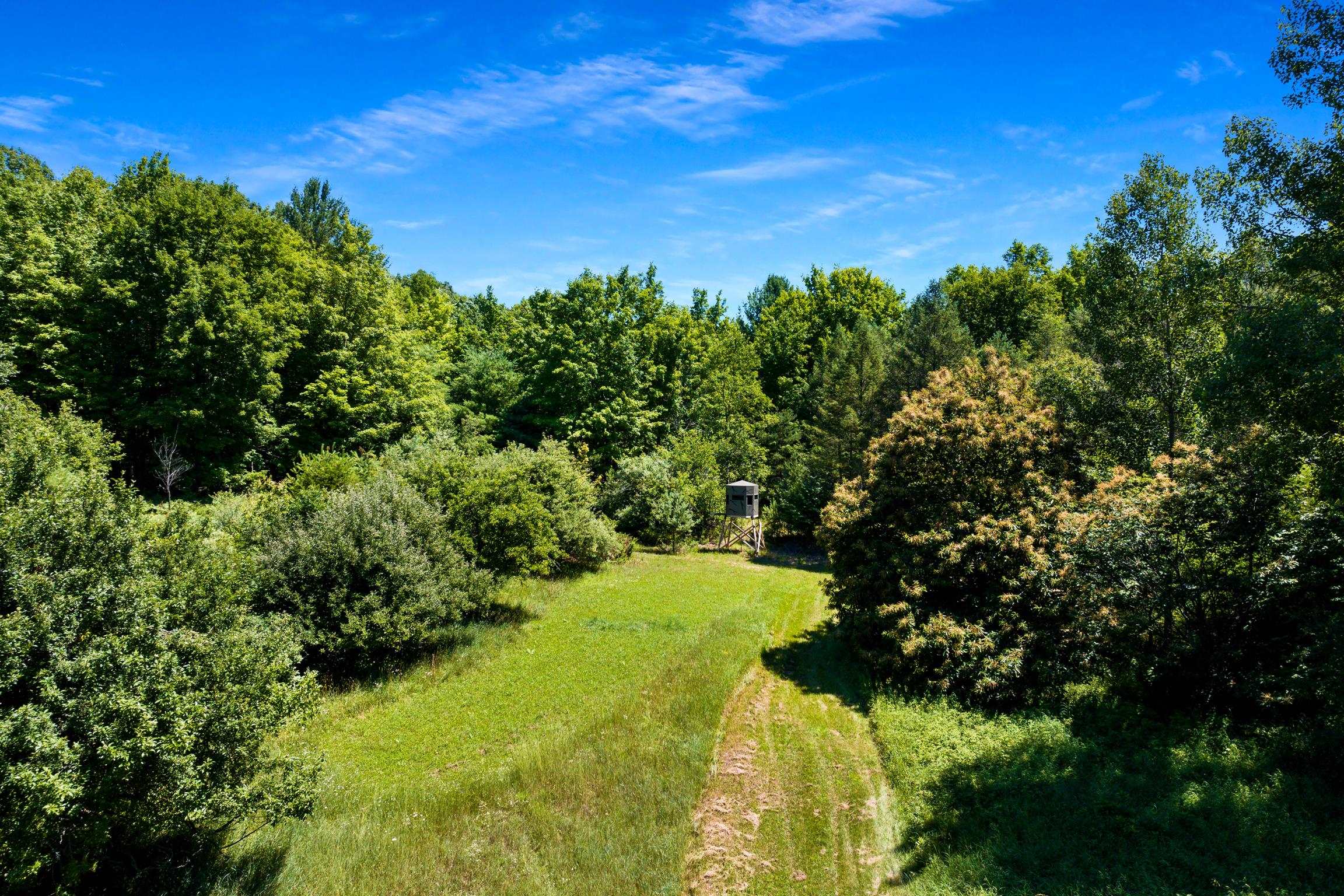 66th image of 11215 Appleridge Trl, Alden, MI 49612 | MLS# 80071133