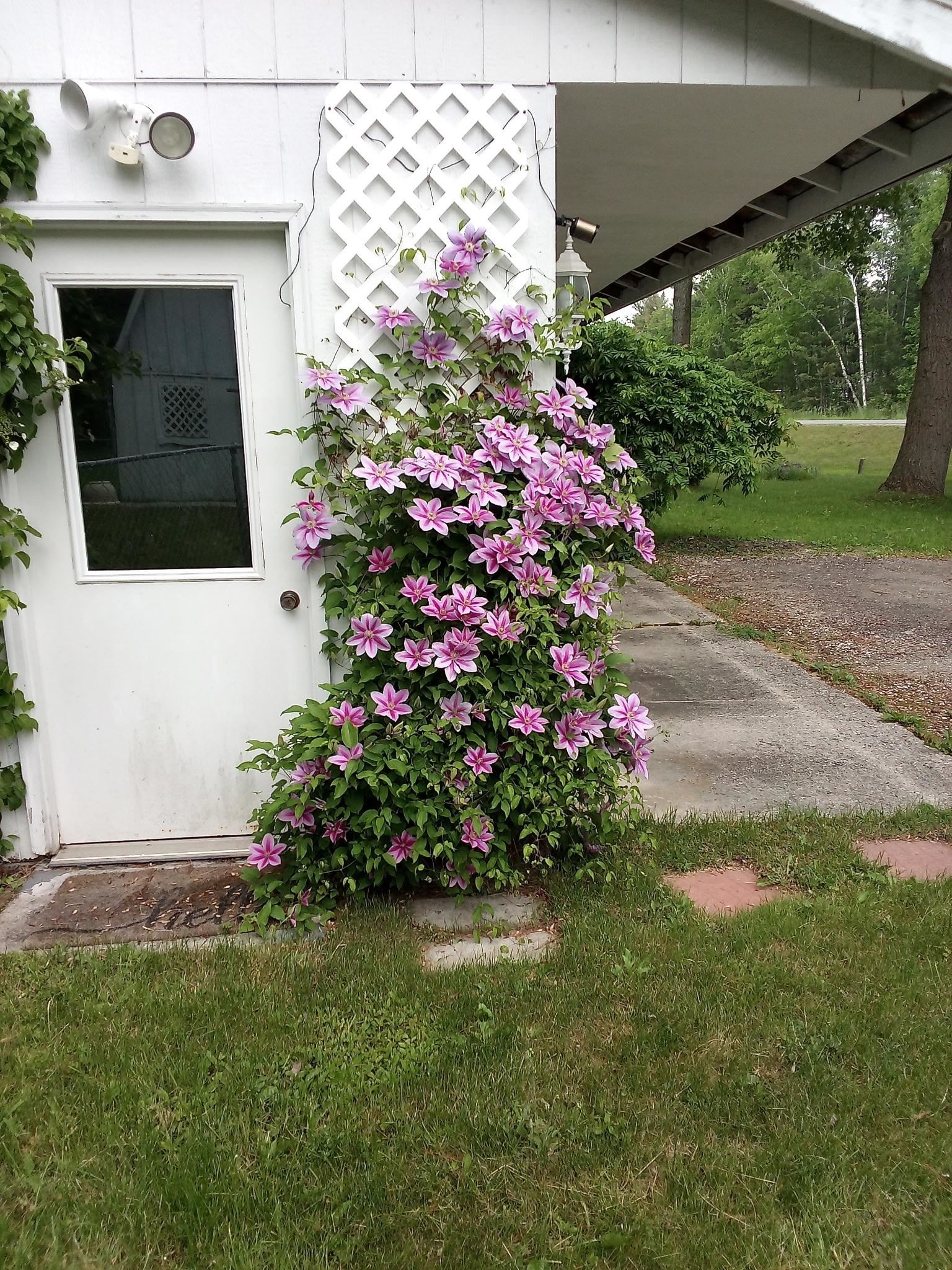 15th image of 514 W M 55, Tawas City, MI 48763 | MLS# 77080071146