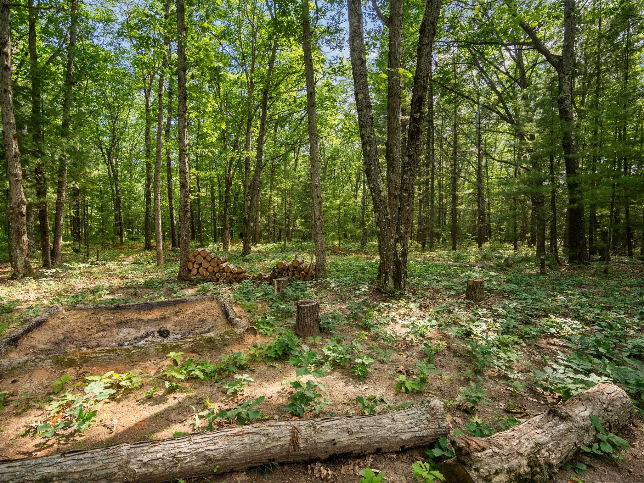 1st image of Lots 137 & 138 Tabor Ave, Interlochen, MI 49643 | MLS# 80071182