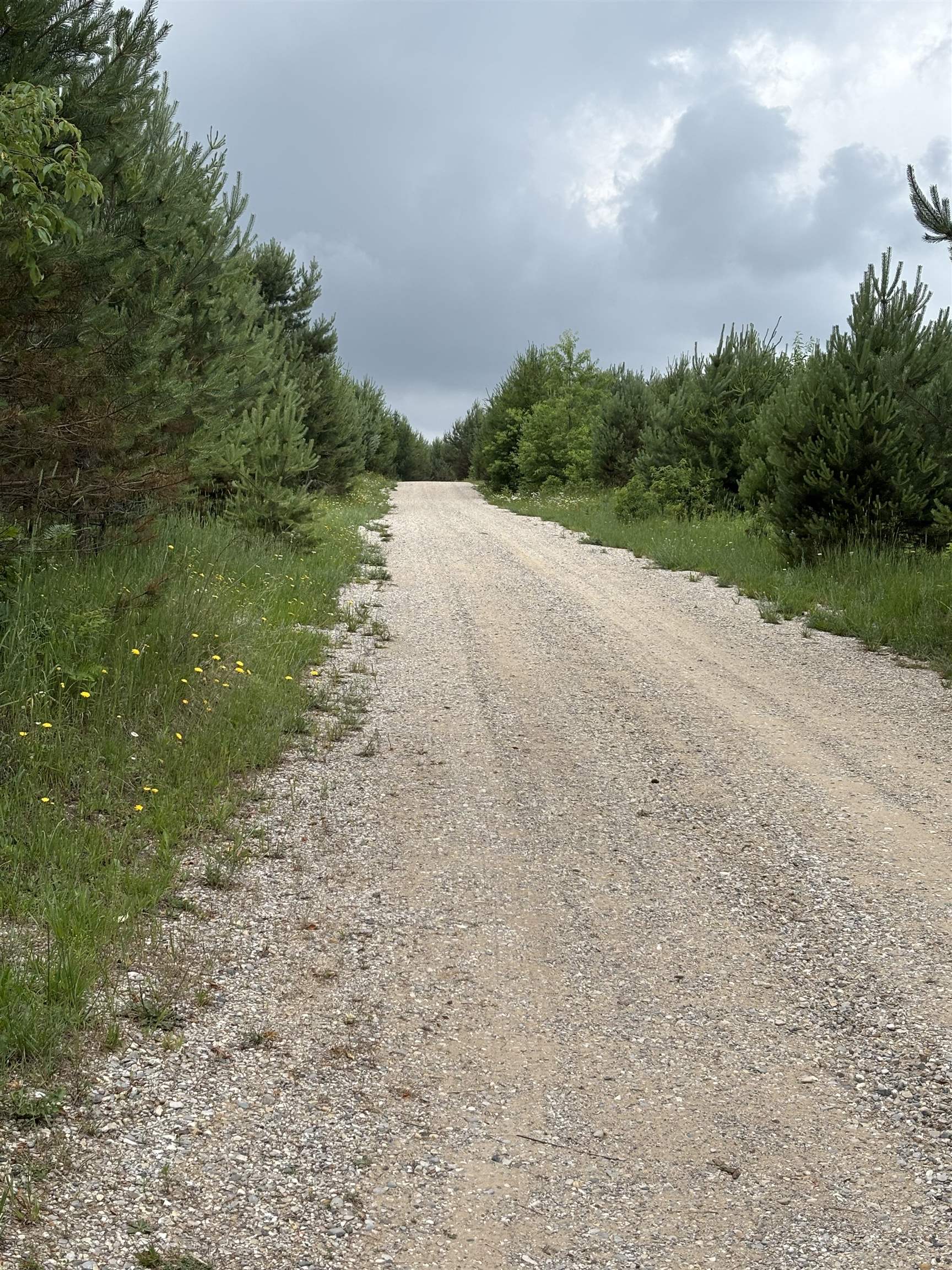 1st image of 1426 Se Riley Rd, Kalkaska, MI 49646 | MLS# 78080071207