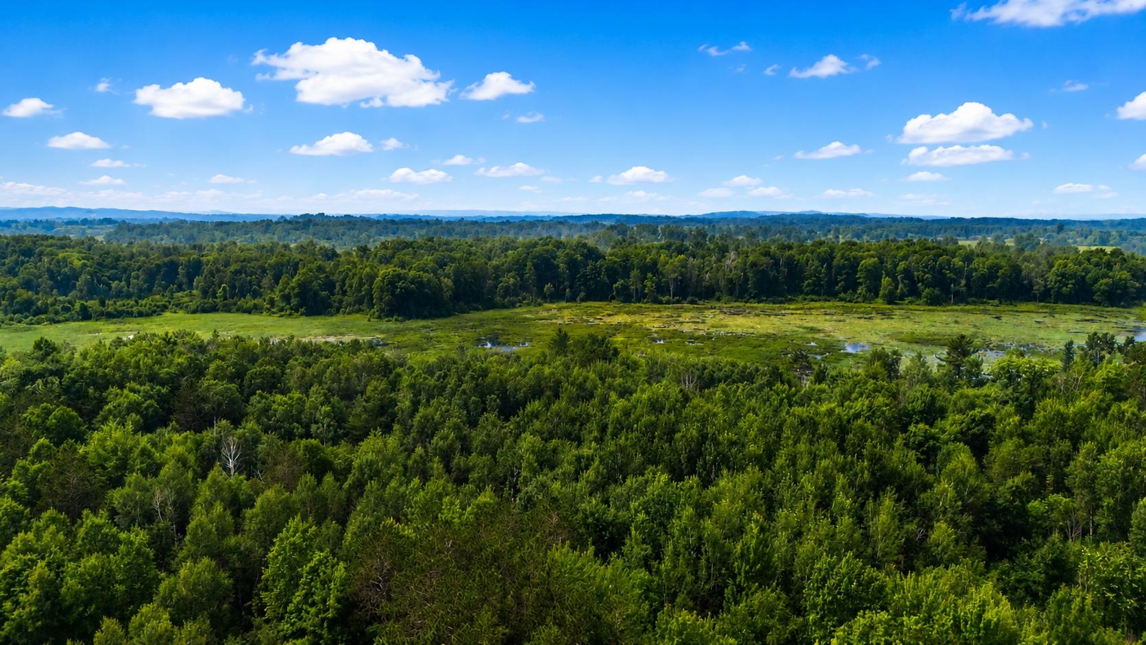 24th image of 000 Owl Dr, Houghton Lake, MI 48629 | MLS# 80071218