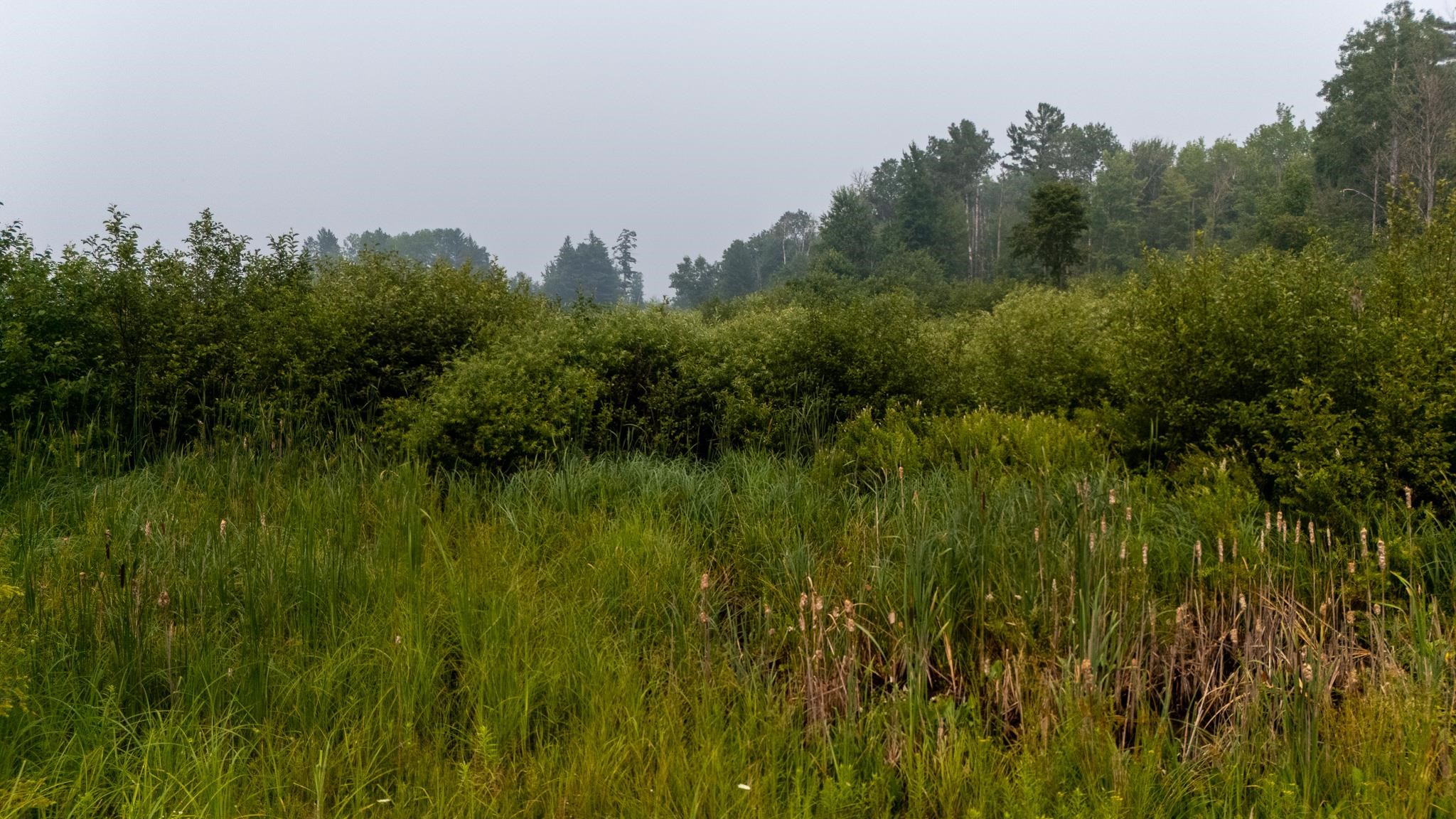 4th image of 000 Owl Dr, Houghton Lake, MI 48629 | MLS# 80071218