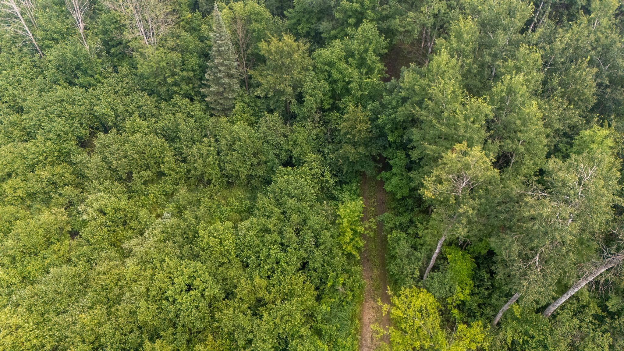 5th image of 000 Owl Dr, Houghton Lake, MI 48629 | MLS# 80071218