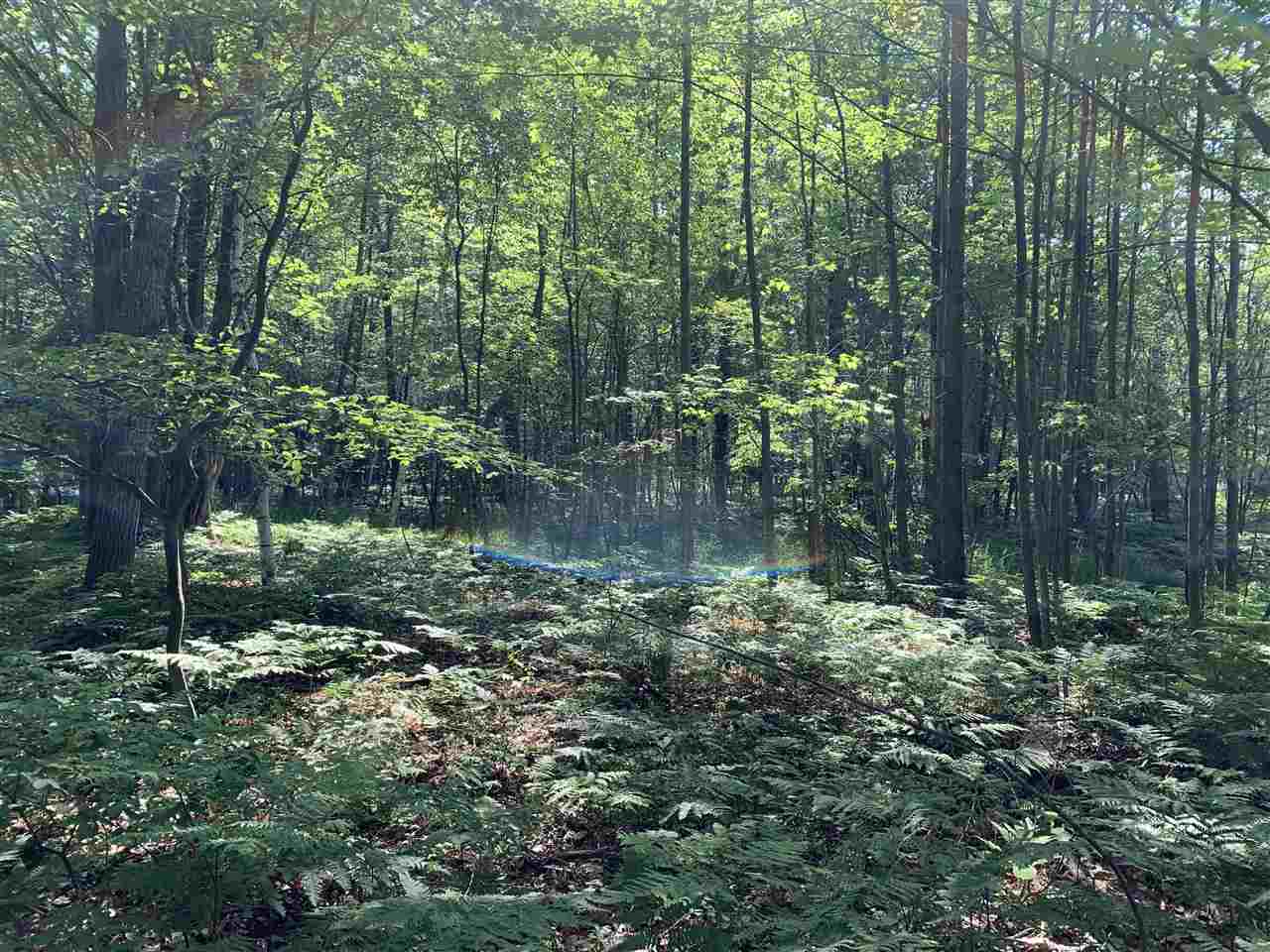 3rd image of Nka Fairway, Standish, MI 48658 | MLS# 80071228