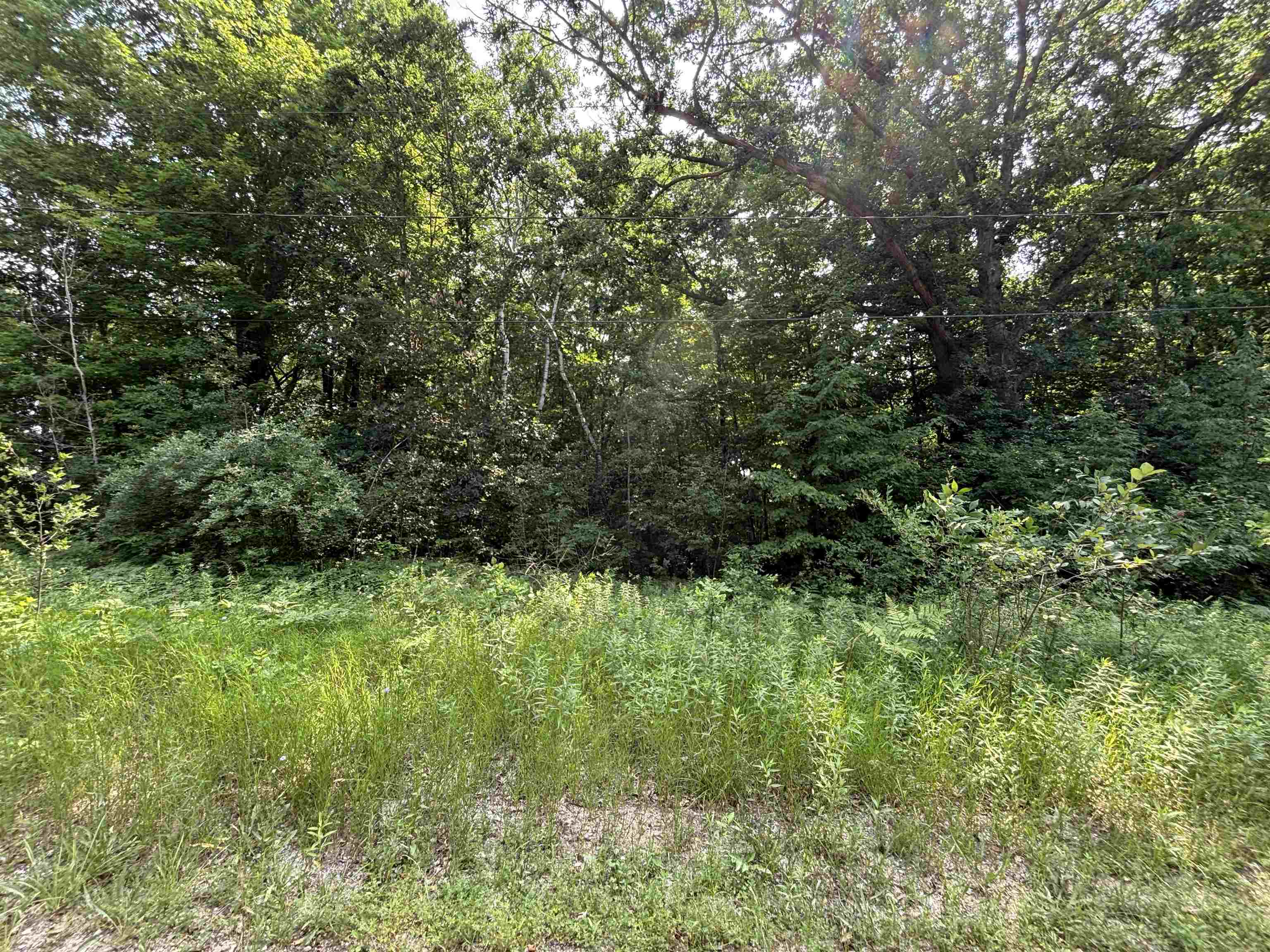 1st image of V/l White Birch Dr, Grant Township Clare, MI 48625 | MLS# 78080071231