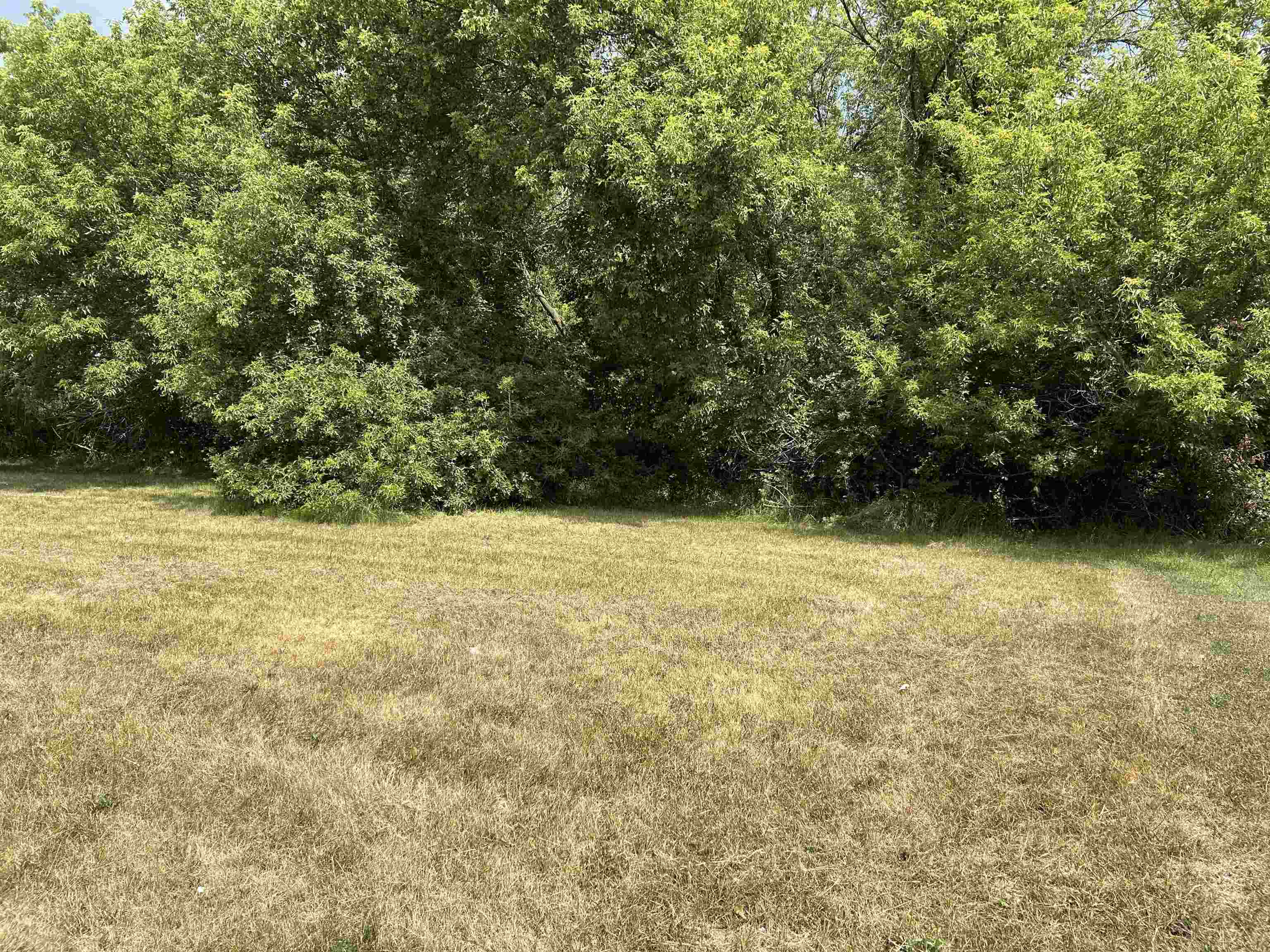 2nd image of 307 Red Maple Ln, Shepherd, MI 48883 | MLS# 79080071237
