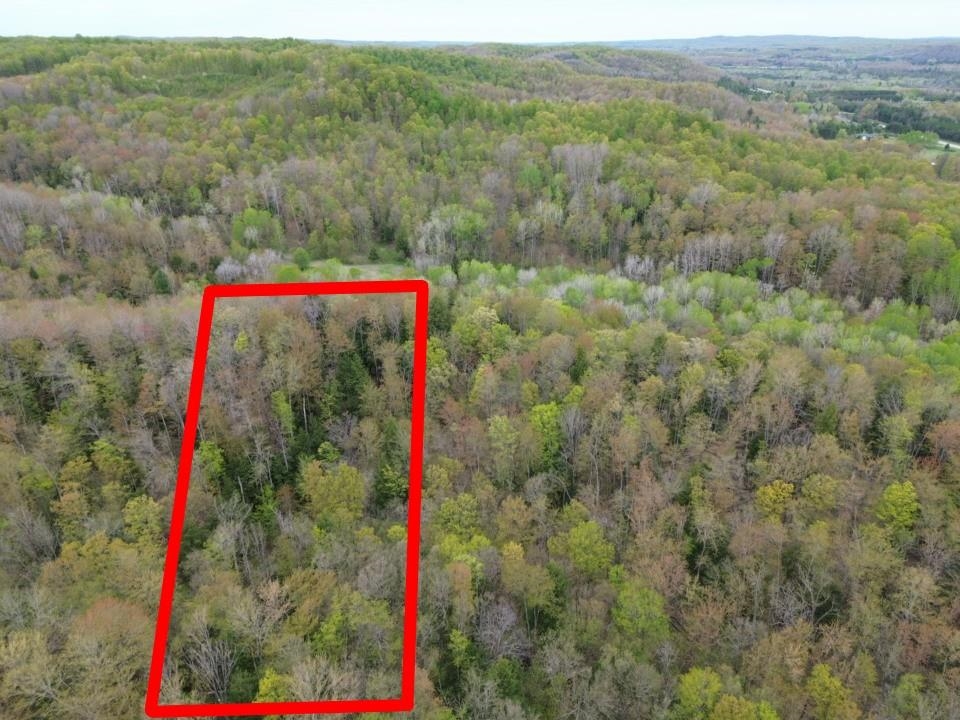 Homes for sale in Jordan Township Antrim, MI | Vl Brookwood Dr, Jordan Township Antrim, MI 49727 | MLS# 78080071248