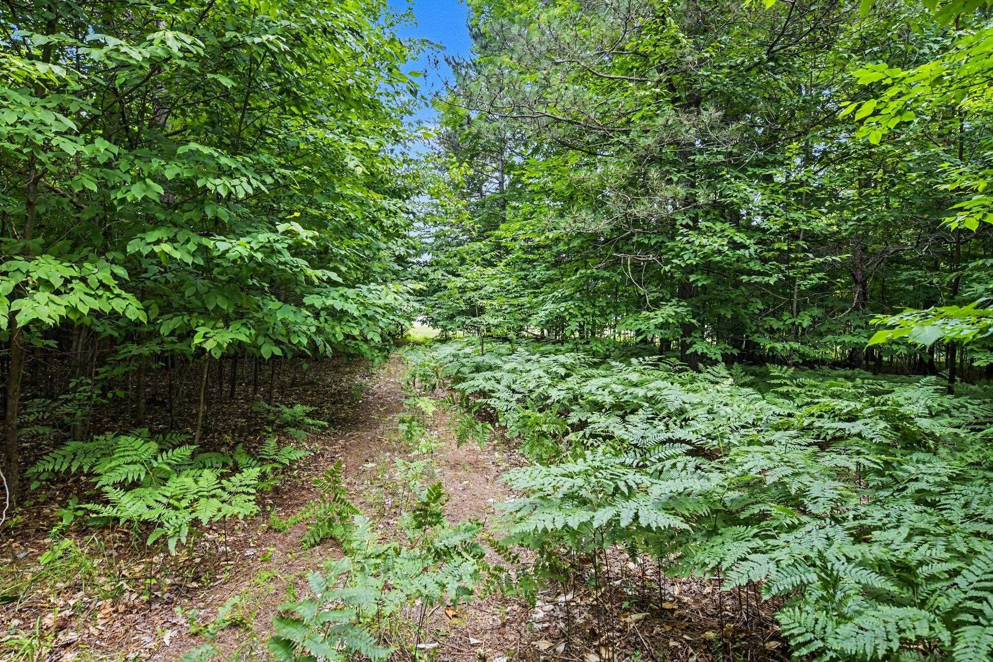 5th image of Lot 308 Goshawk Wy, Bellaire, MI 49615 | MLS# 80071309