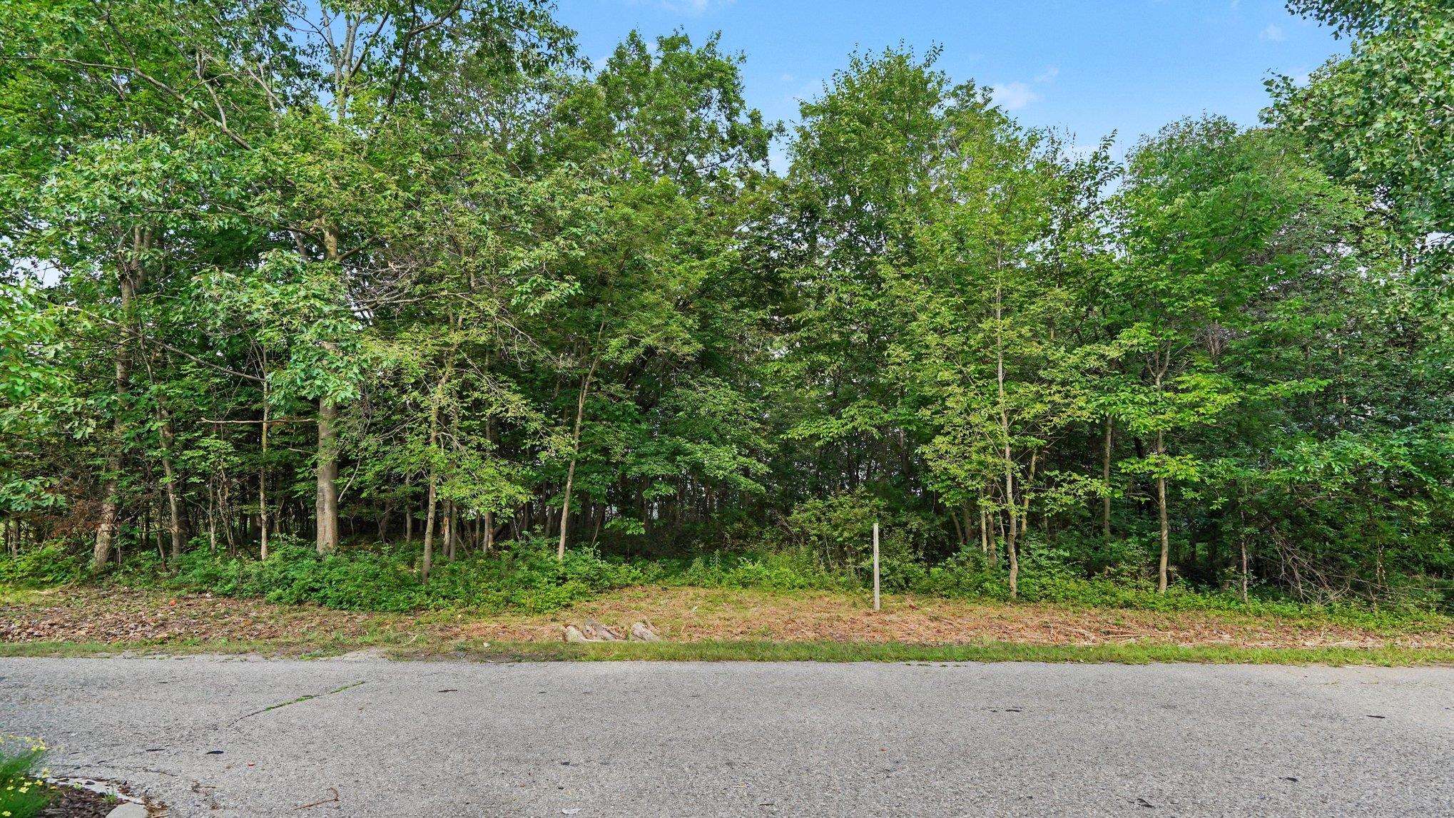 5th image of Tbd Buckthorn St, Mount Pleasant, MI 48858 | MLS# 80071310