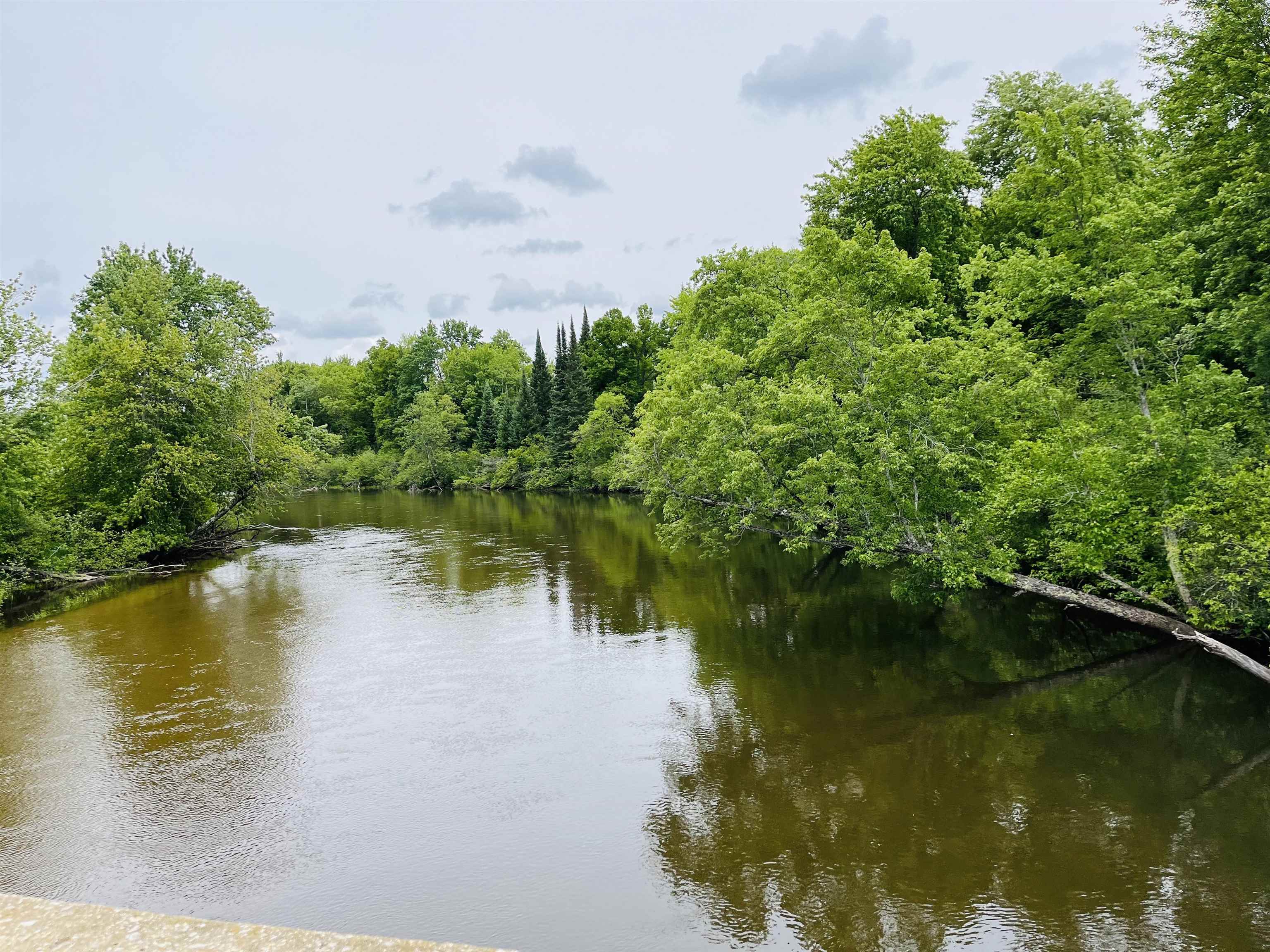 1st image of Old M 66, Fife Lake, MI 49633 | MLS# 80071322