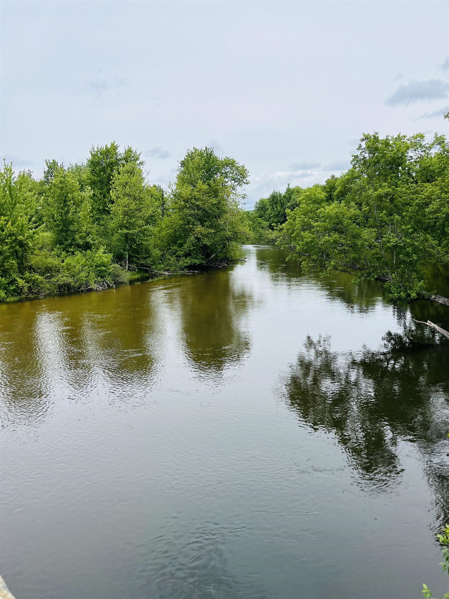 2nd image of Old M 66, Fife Lake, MI 49633 | MLS# 80071322