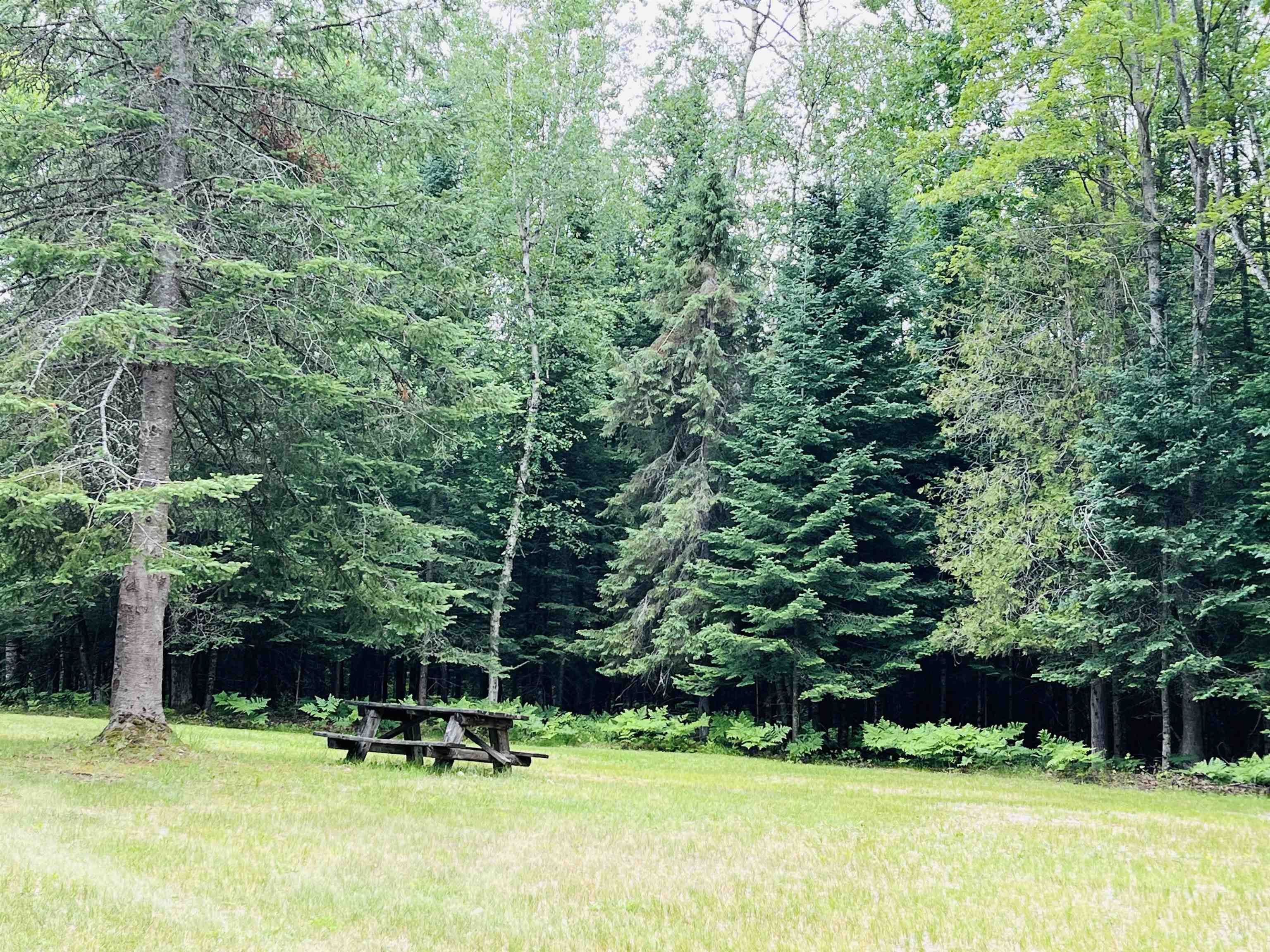 14th image of Old M 66, Fife Lake, MI 49633 | MLS# 80071322