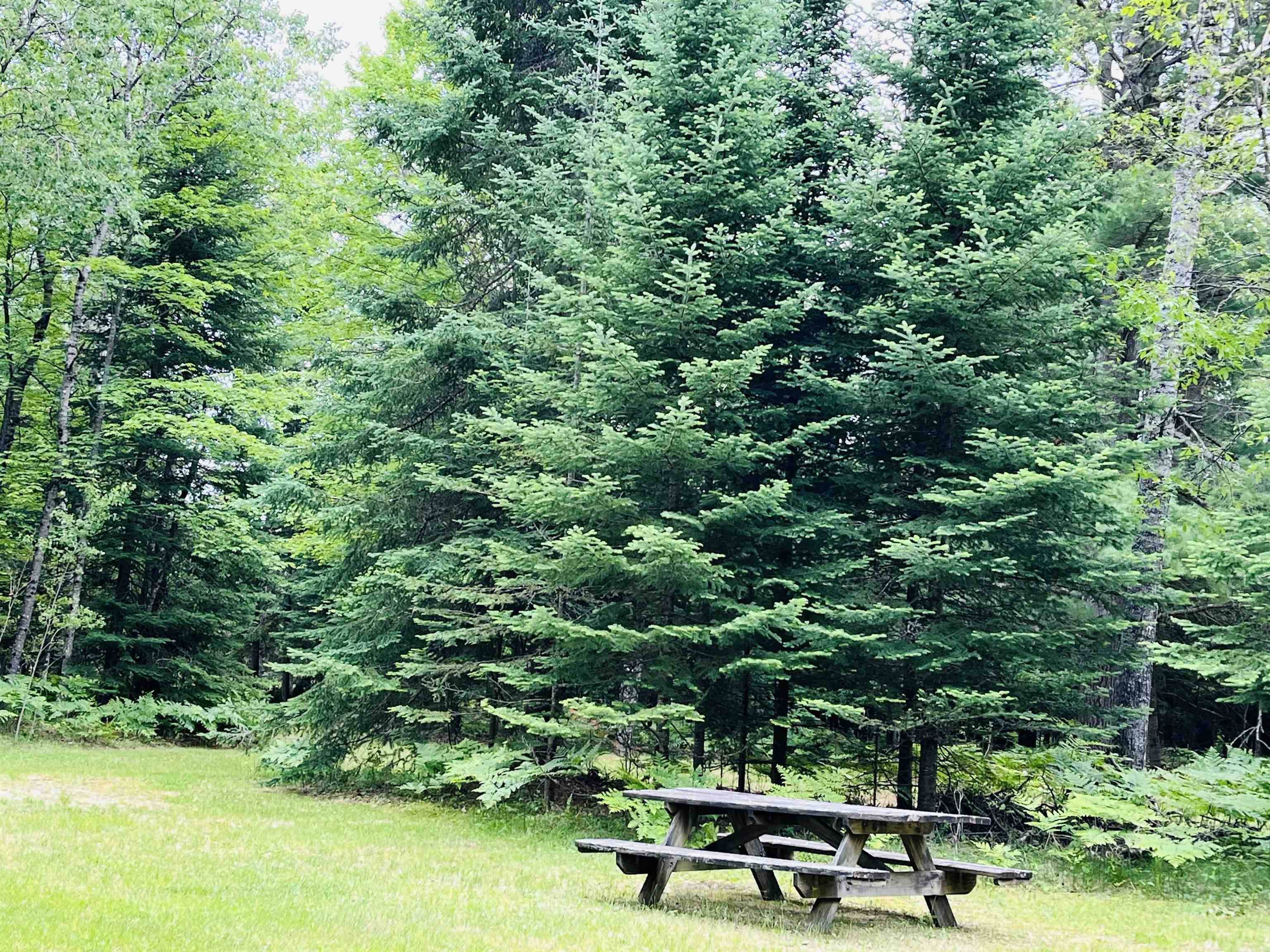 5th image of Old M-66, Fife Lake, MI 49633 | MLS# 80071322