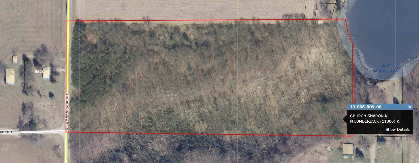 Homes for sale in Riverdale, MI | Vl N Lumberjack Rd, Riverdale, MI 48877 | MLS# 80071324
