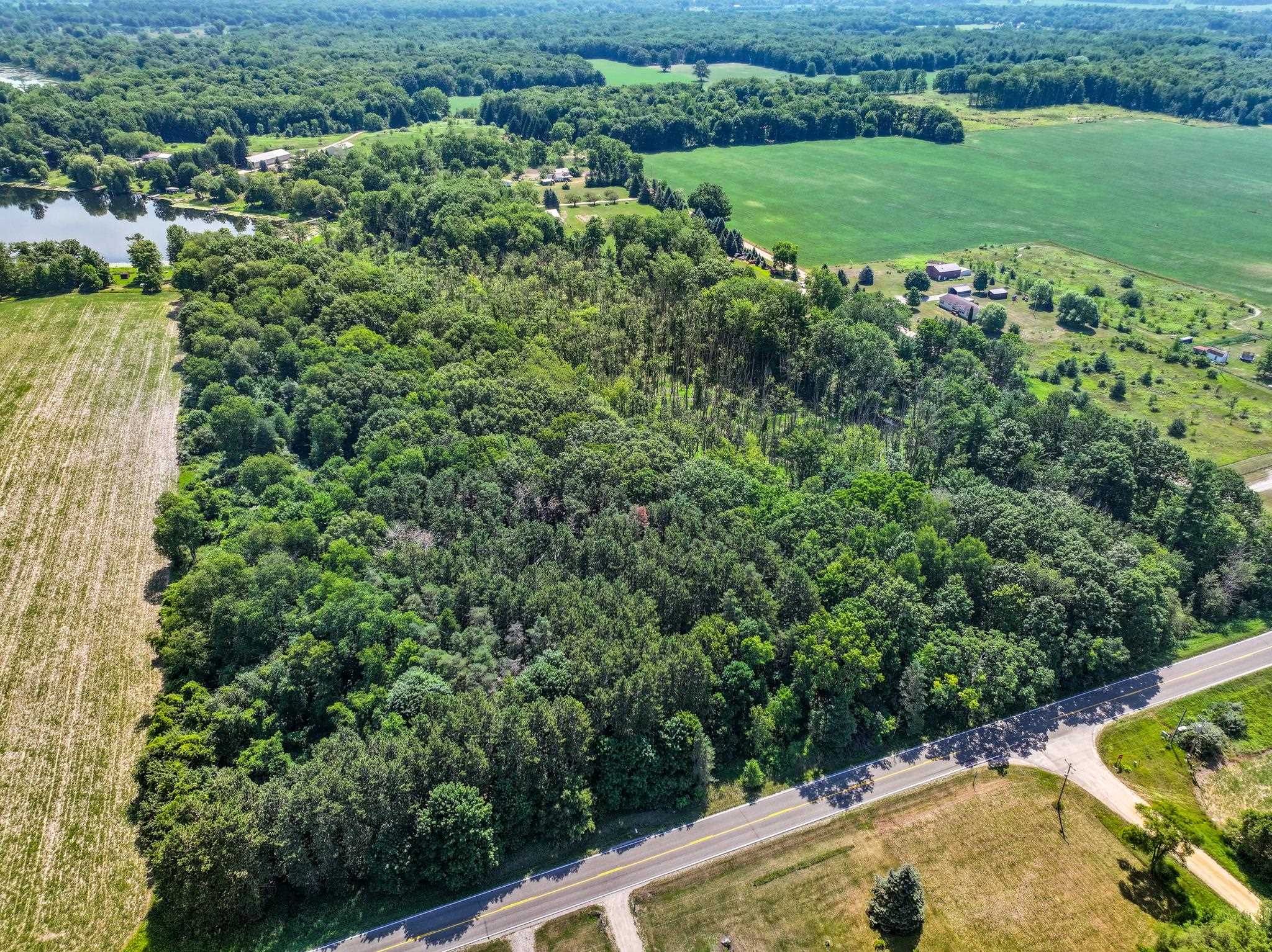 Homes for sale in Riverdale, MI | Vl N Lumberjack Rd, Riverdale, MI 48877 | MLS# 80071324