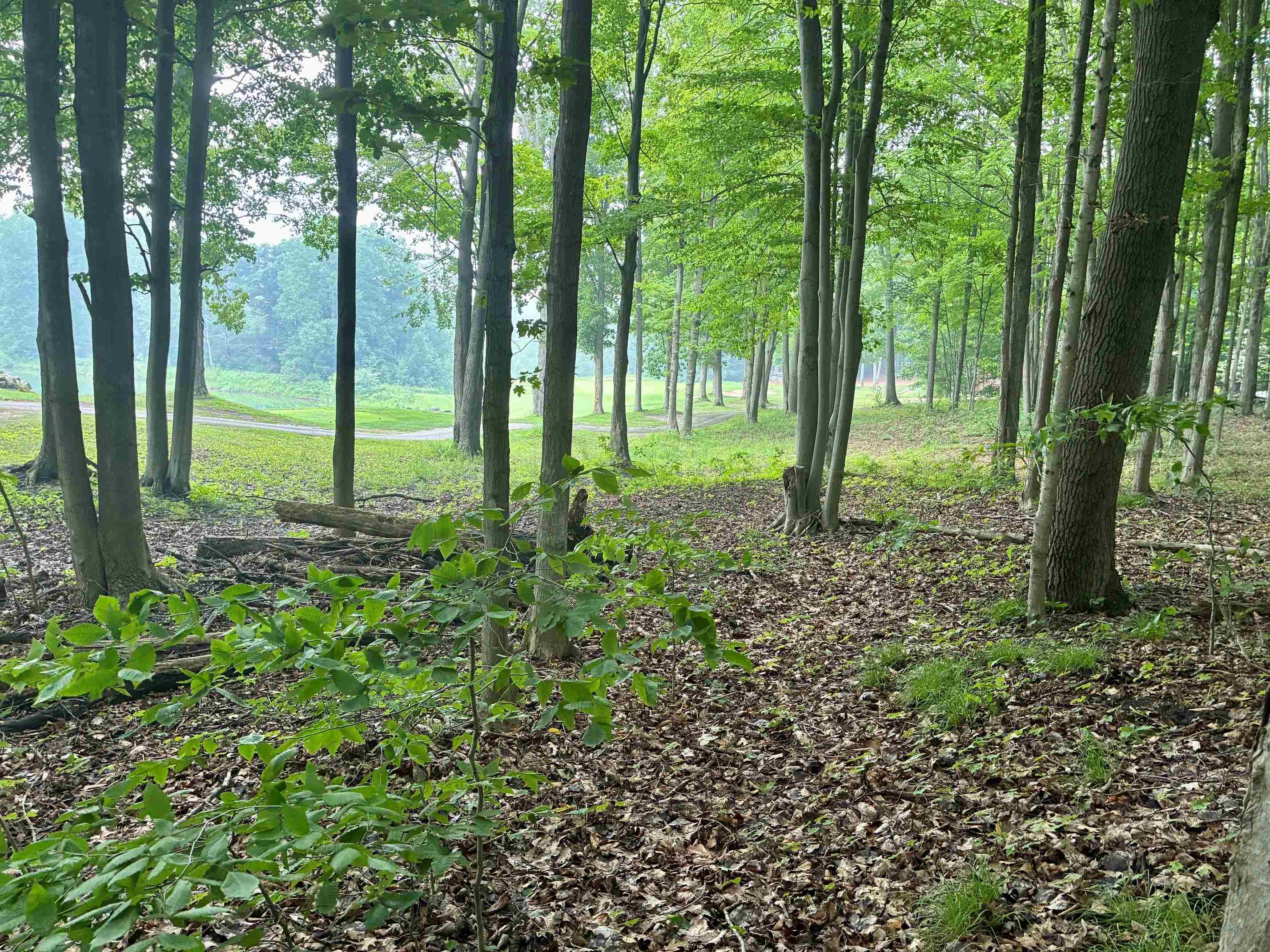 1st image of V/l 8 Forest Trl, Bellaire, MI 49615 | MLS# 80071330