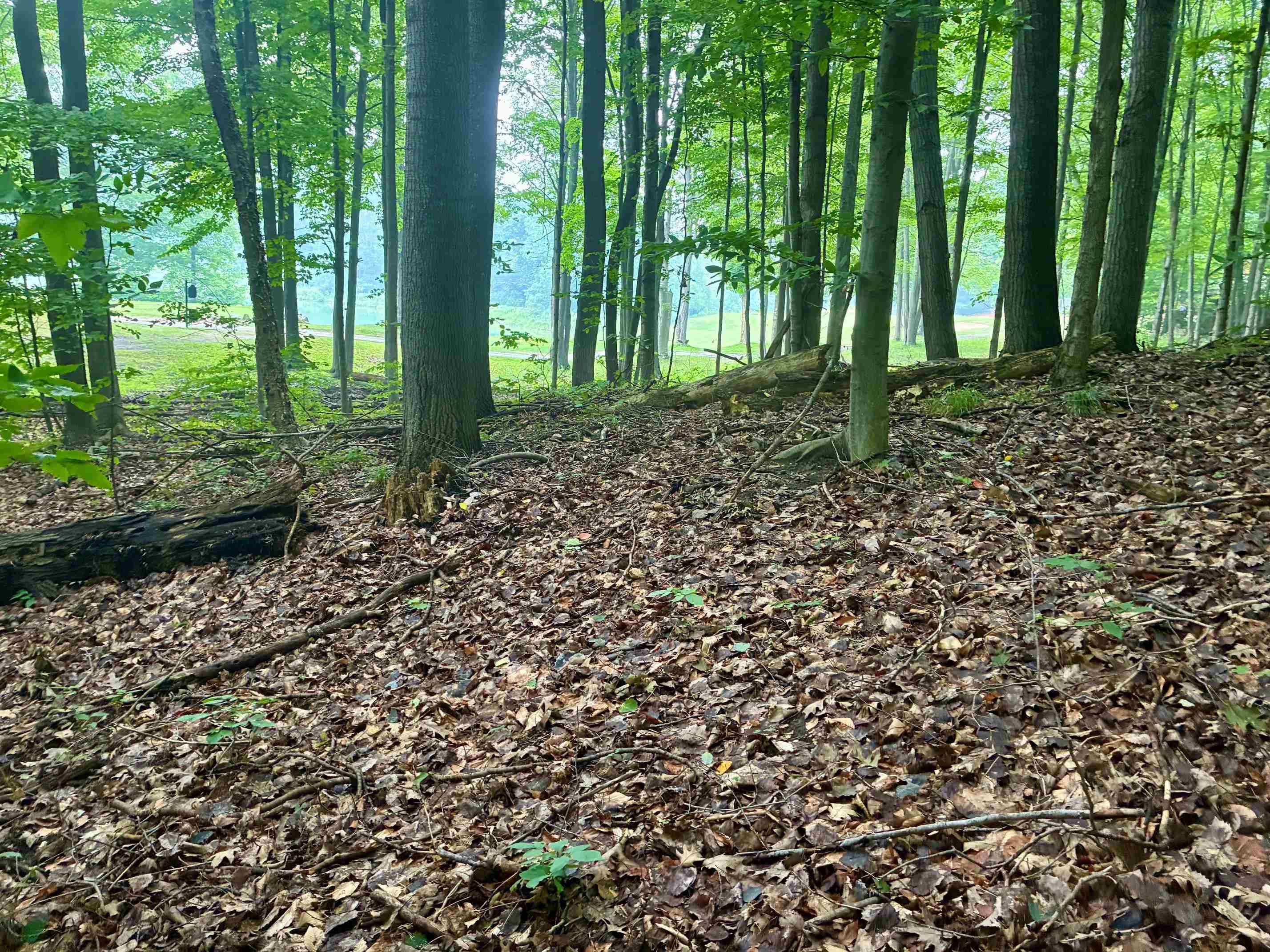 2nd image of V/l 8 Forest Trl, Bellaire, MI 49615 | MLS# 80071330