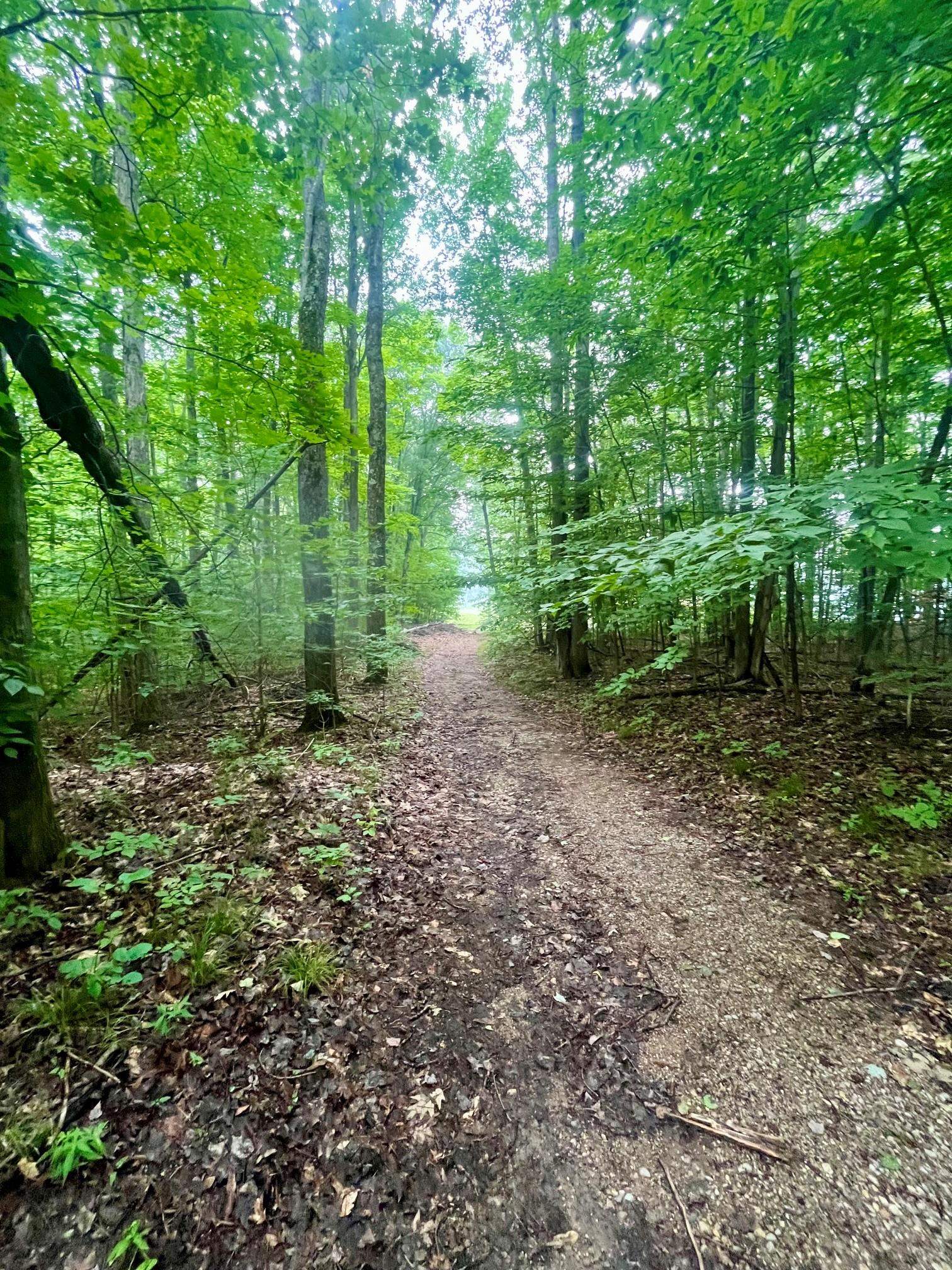 3rd image of V/L 8 Forest Trl, Bellaire, MI 49615 | MLS# 80071330