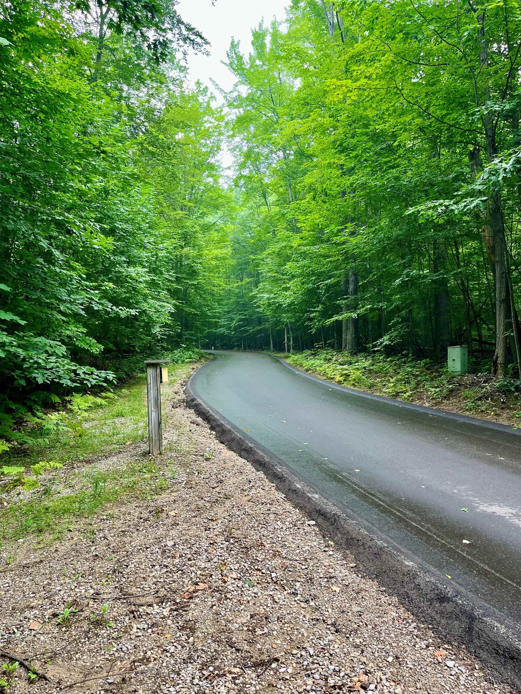 4th image of V/L 8 Forest Trl, Bellaire, MI 49615 | MLS# 80071330