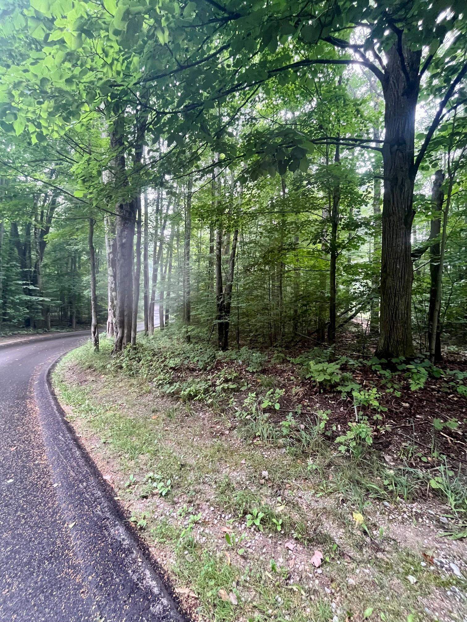 5th image of V/L 8 Forest Trl, Bellaire, MI 49615 | MLS# 80071330