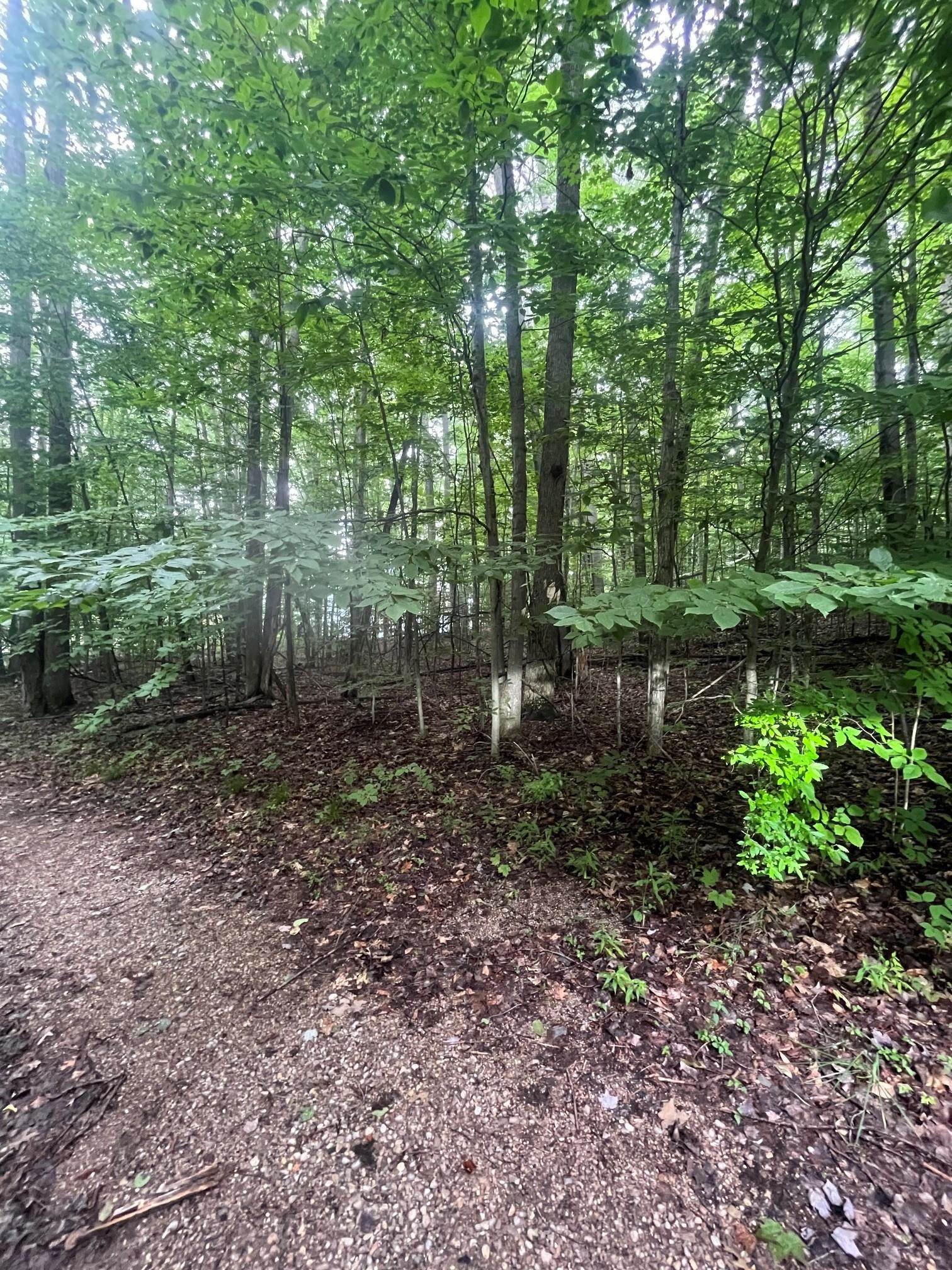 7th image of V/l 8 Forest Trl, Bellaire, MI 49615 | MLS# 80071330