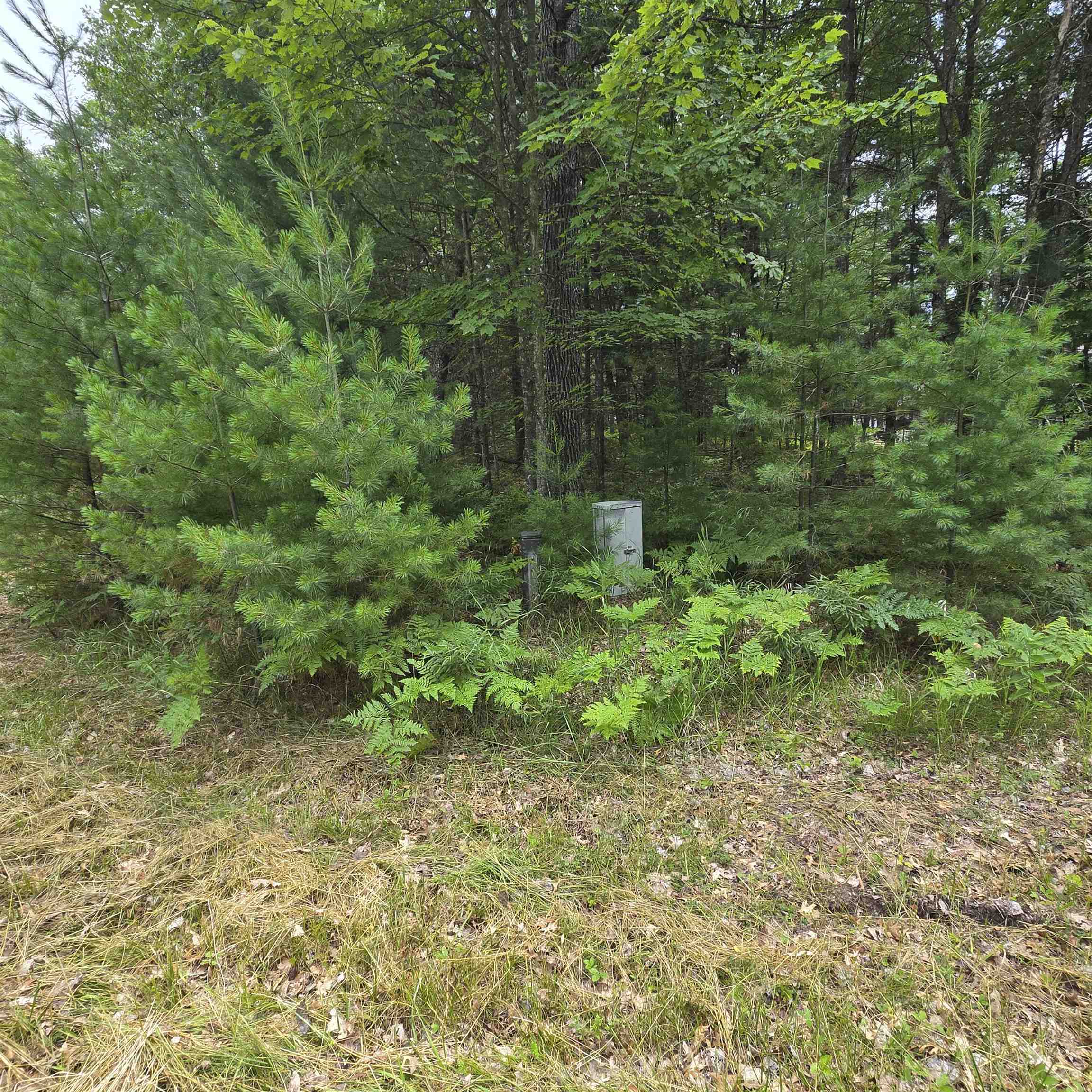 Homes for sale in Oscoda Charter Township Iosco, MI | Lakewood Dr, Oscoda Charter Township Iosco, MI 48750 | MLS# 77080071337