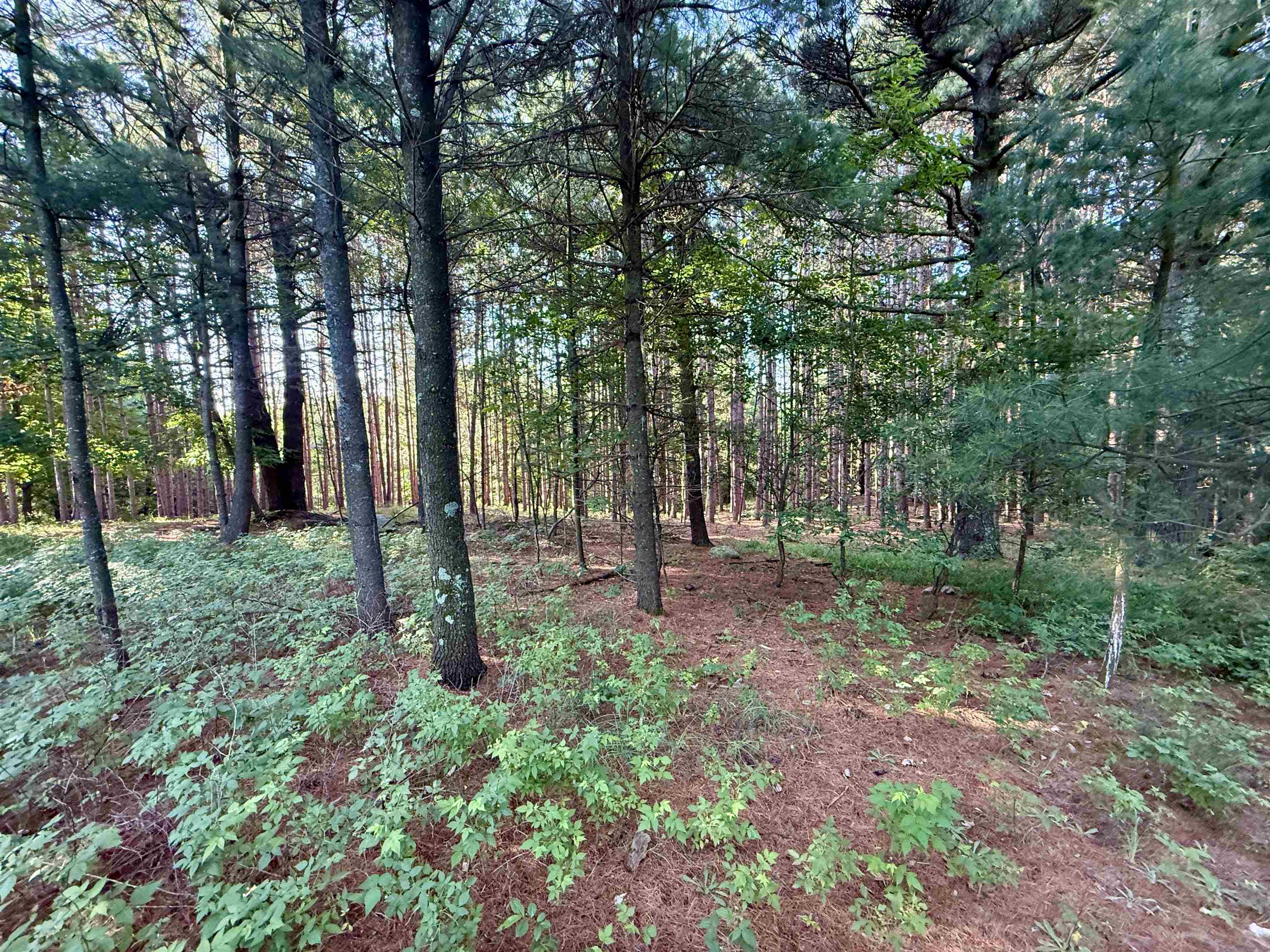 2nd image of 0015 S Westview Dr, Empire, MI 49630 | MLS# 80071417