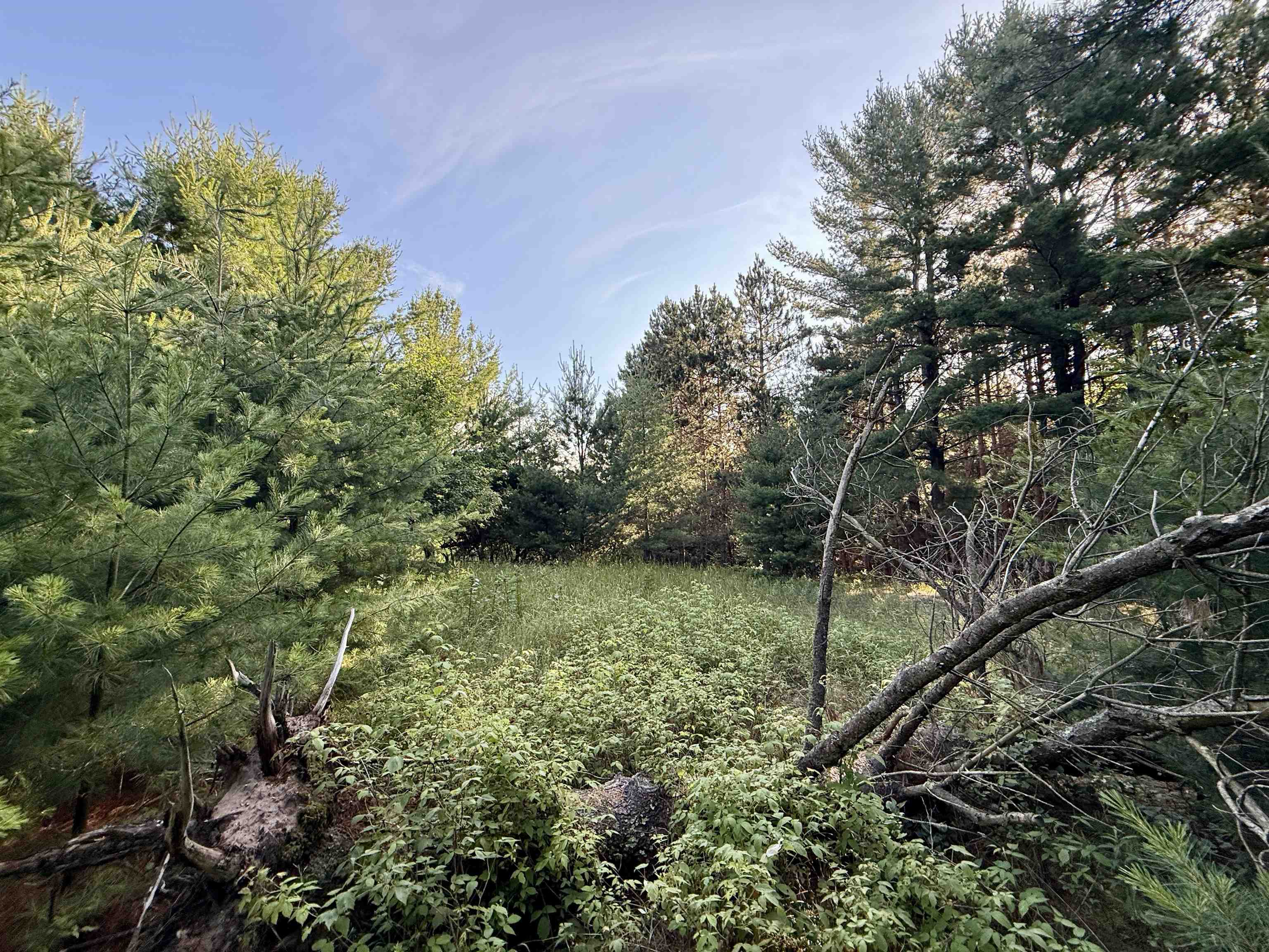 3rd image of 0015 S Westview Dr, Empire, MI 49630 | MLS# 80071417