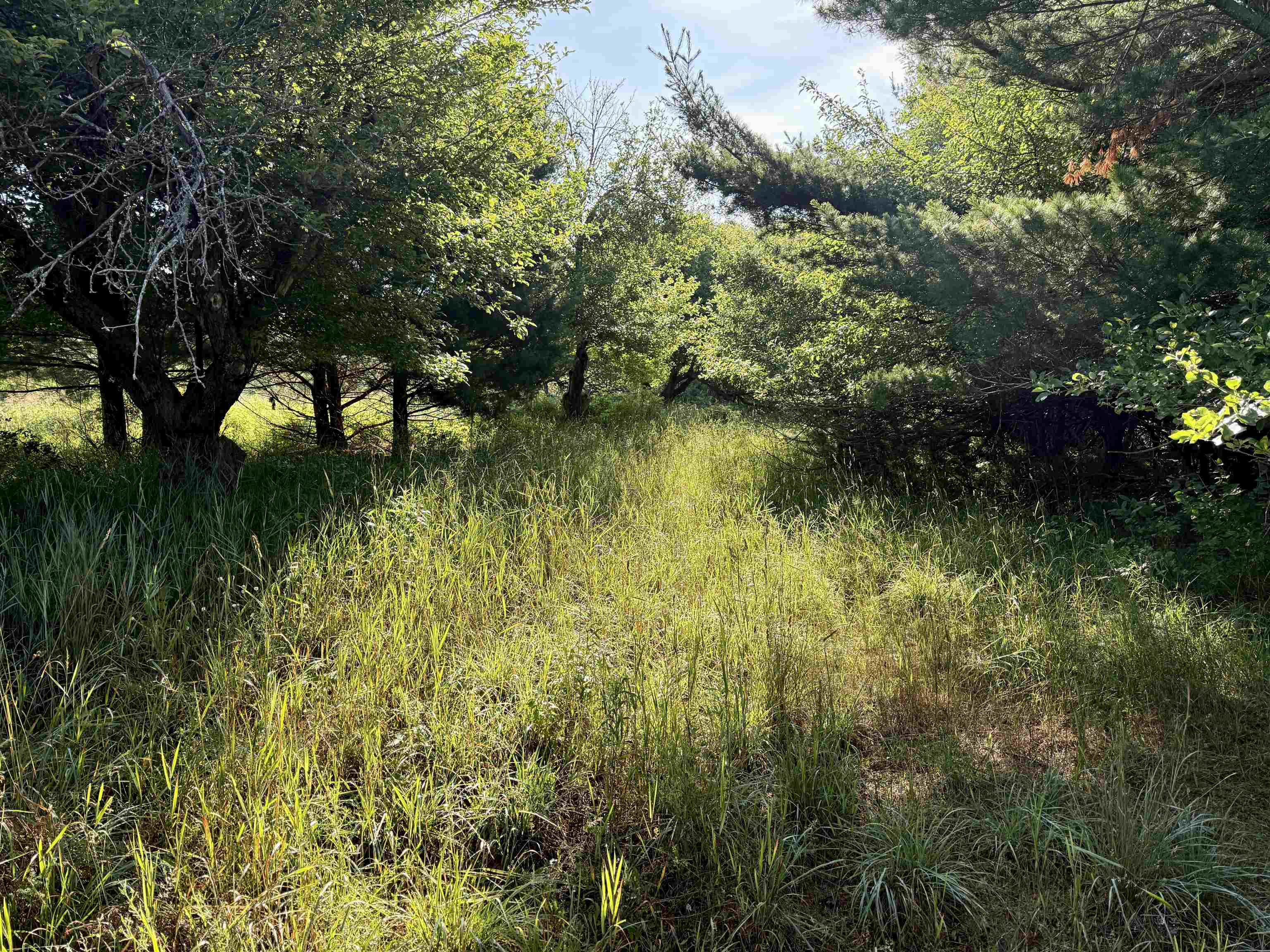 4th image of 0015 S Westview Dr, Empire, MI 49630 | MLS# 80071417