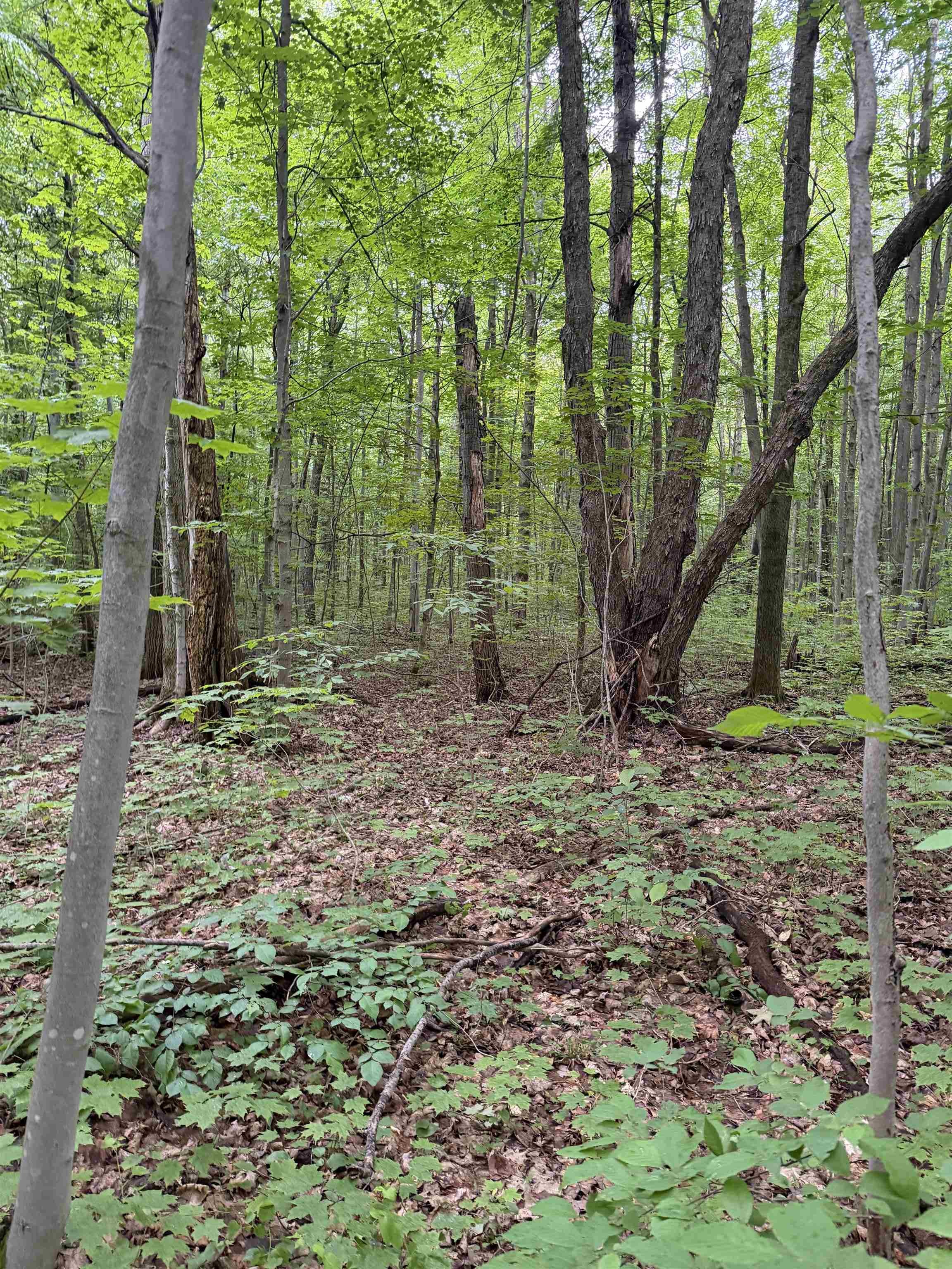 4th image of Parcel A Mancelona Rd, Mancelona, MI 49659 | MLS# 80071429