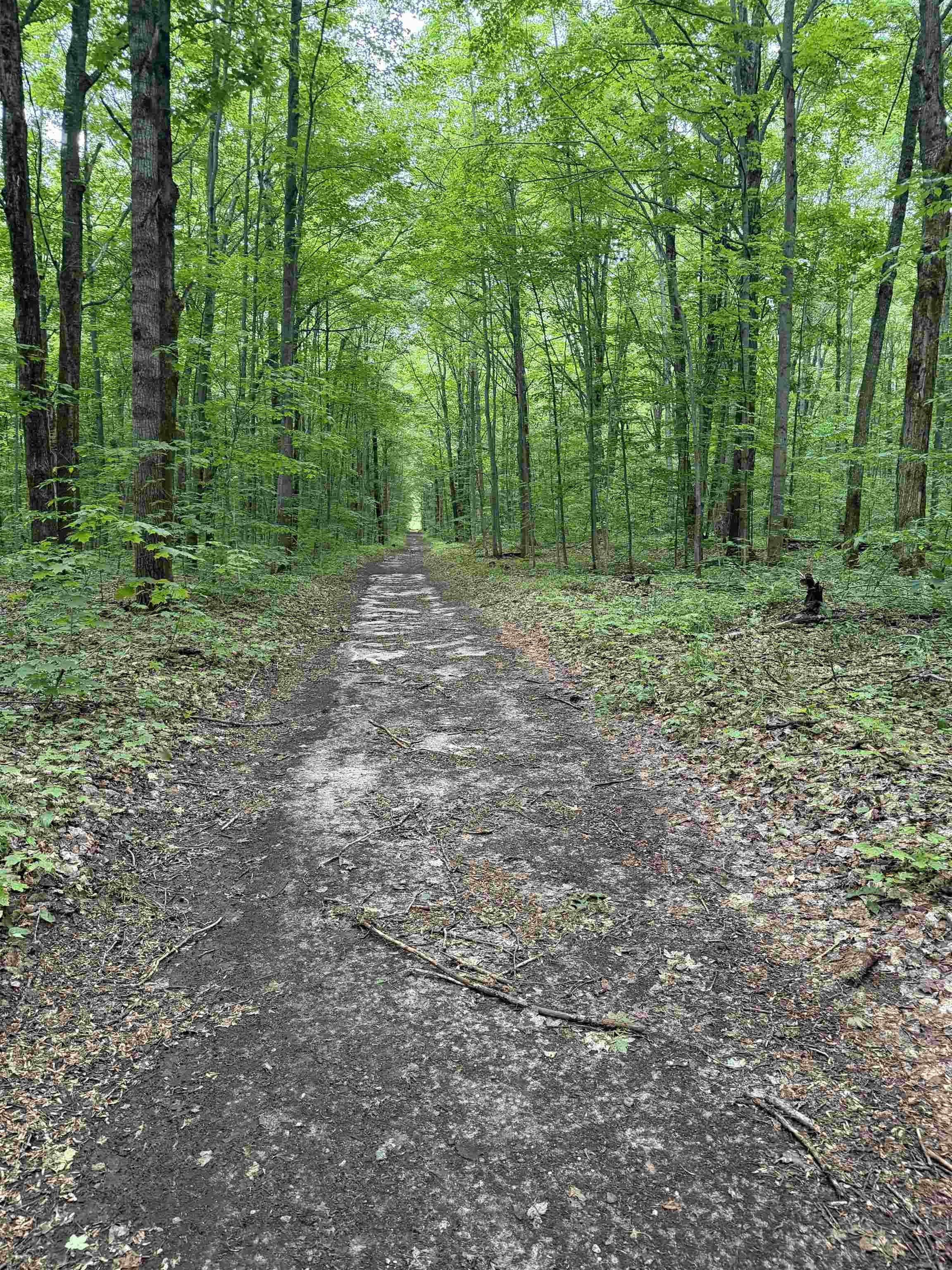 3rd image of Parcel B Mancelona Rd, Mancelona, MI 49659 | MLS# 80071430