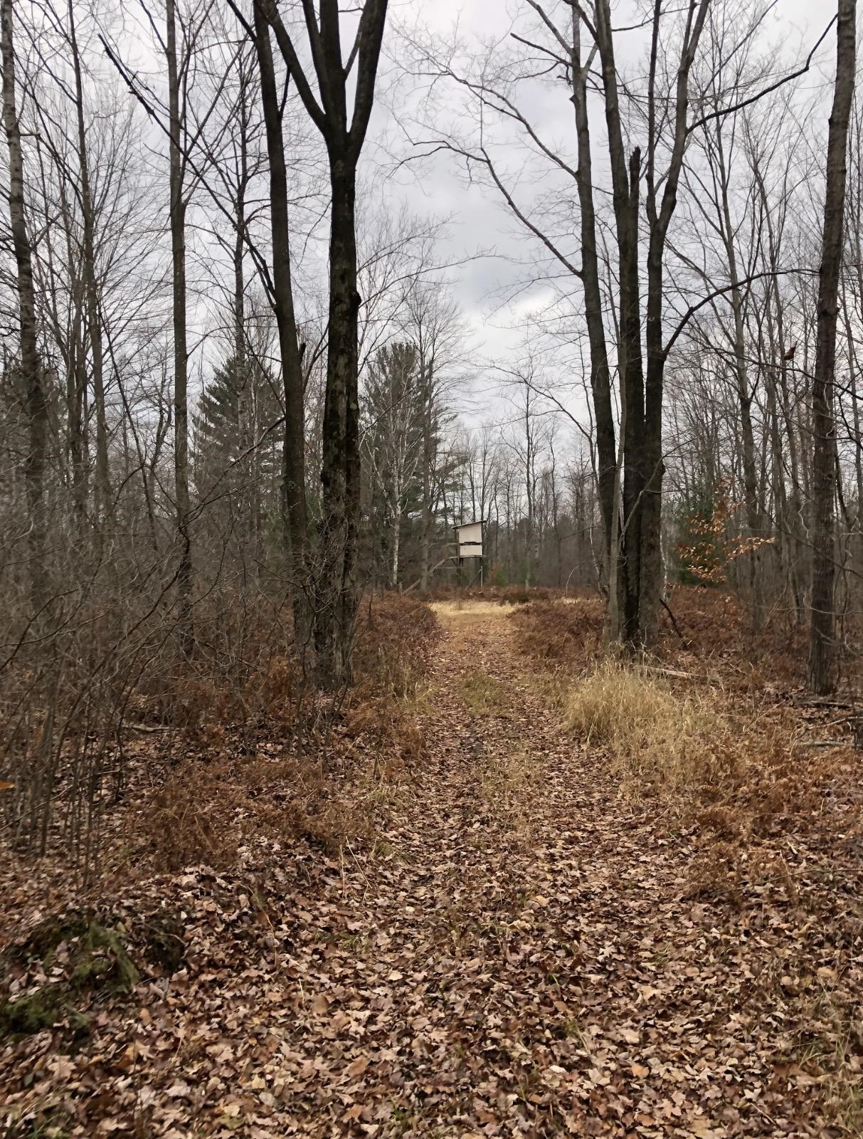 43rd image of 3198 National City Rd, Turner, MI 48765 | MLS# 80071458