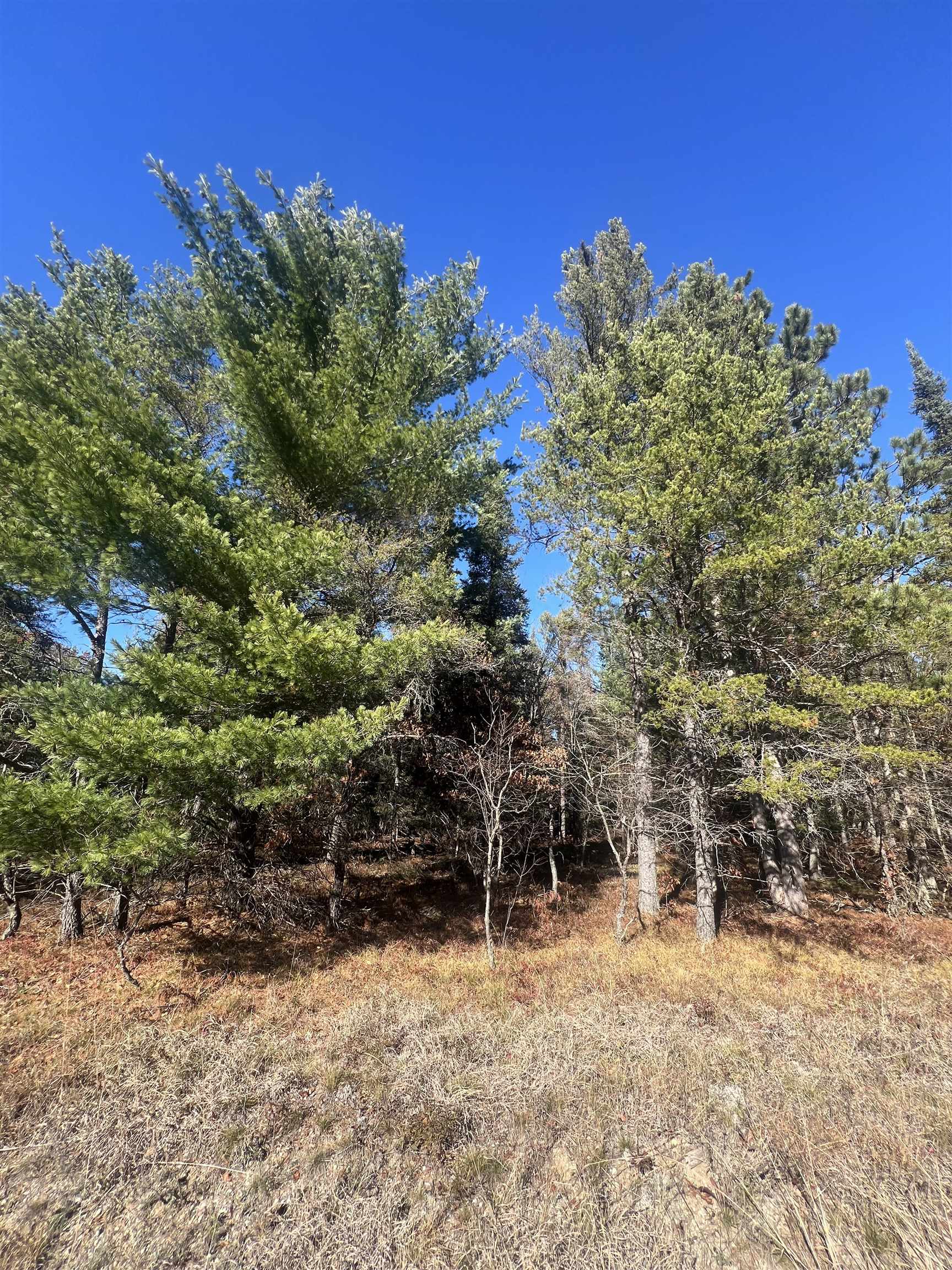 2nd image of 0000 E North Down River Rd, Grayling, MI 49738 | MLS# 80071480