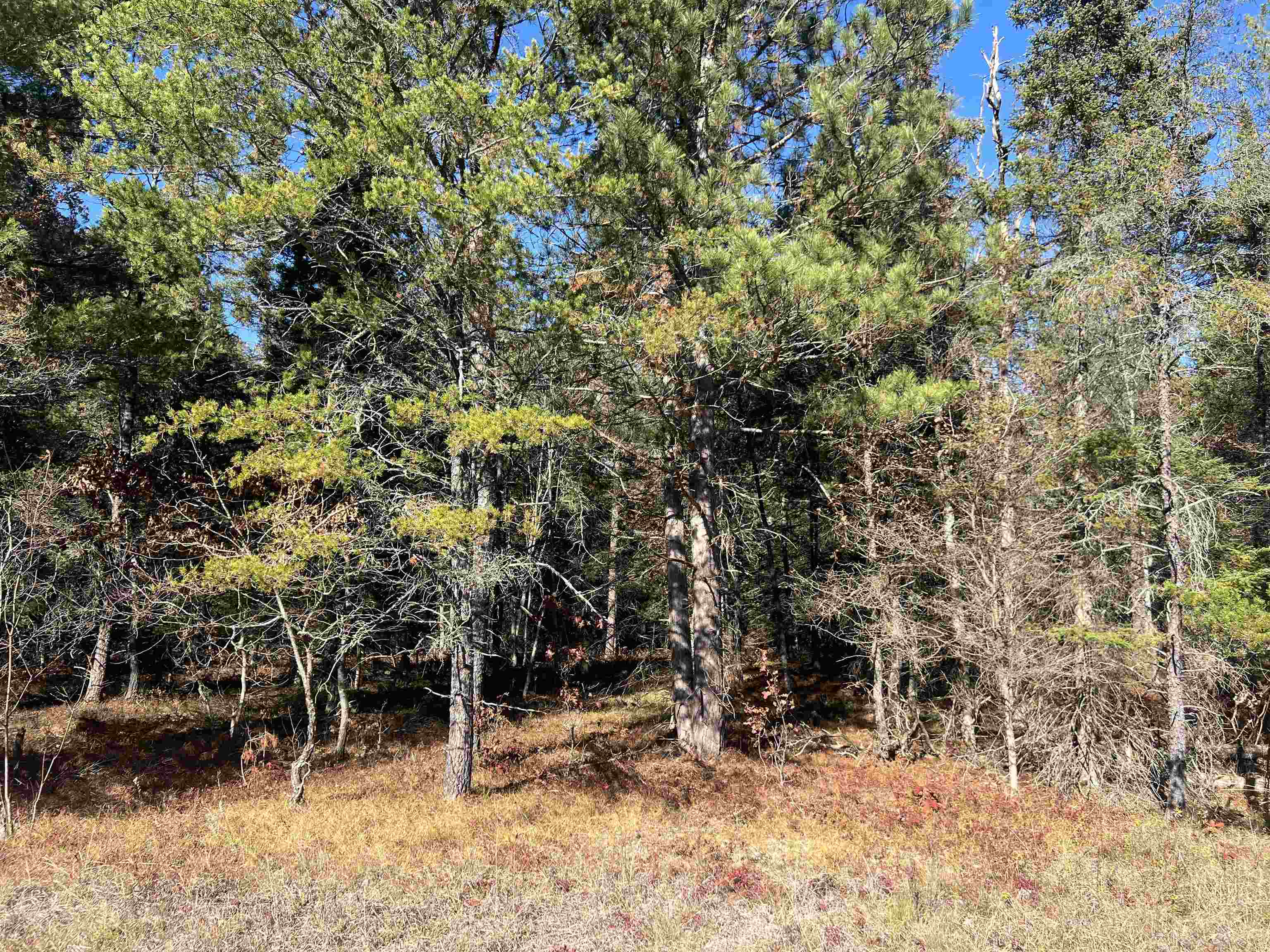 3rd image of 0000 E North Down River Rd, Grayling, MI 49738 | MLS# 80071480