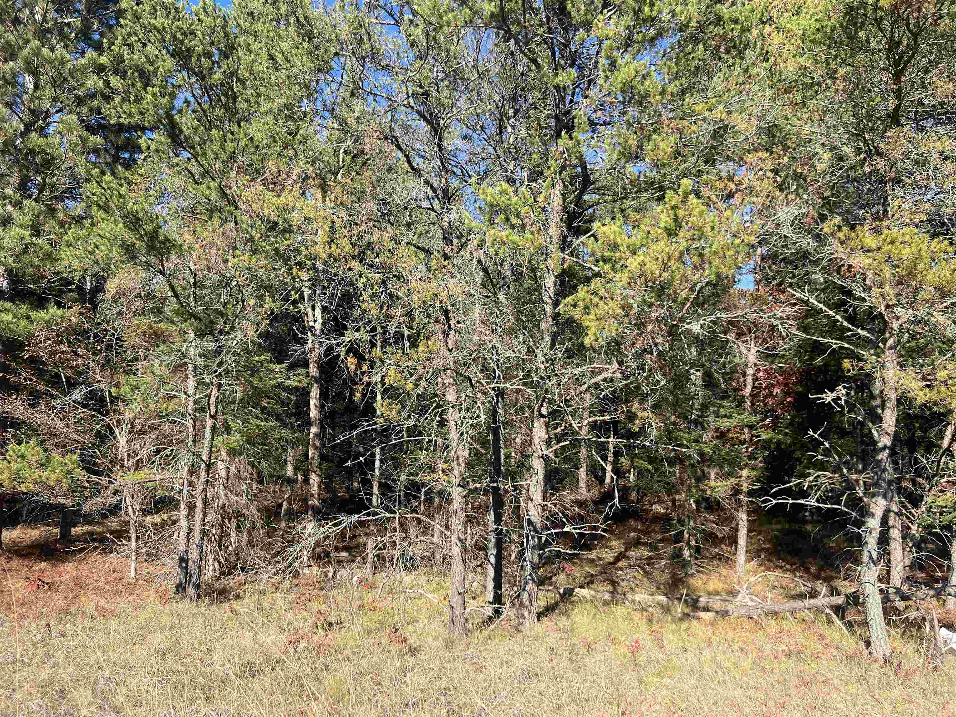 5th image of 0000 E North Down River Rd, Grayling, MI 49738 | MLS# 80071480