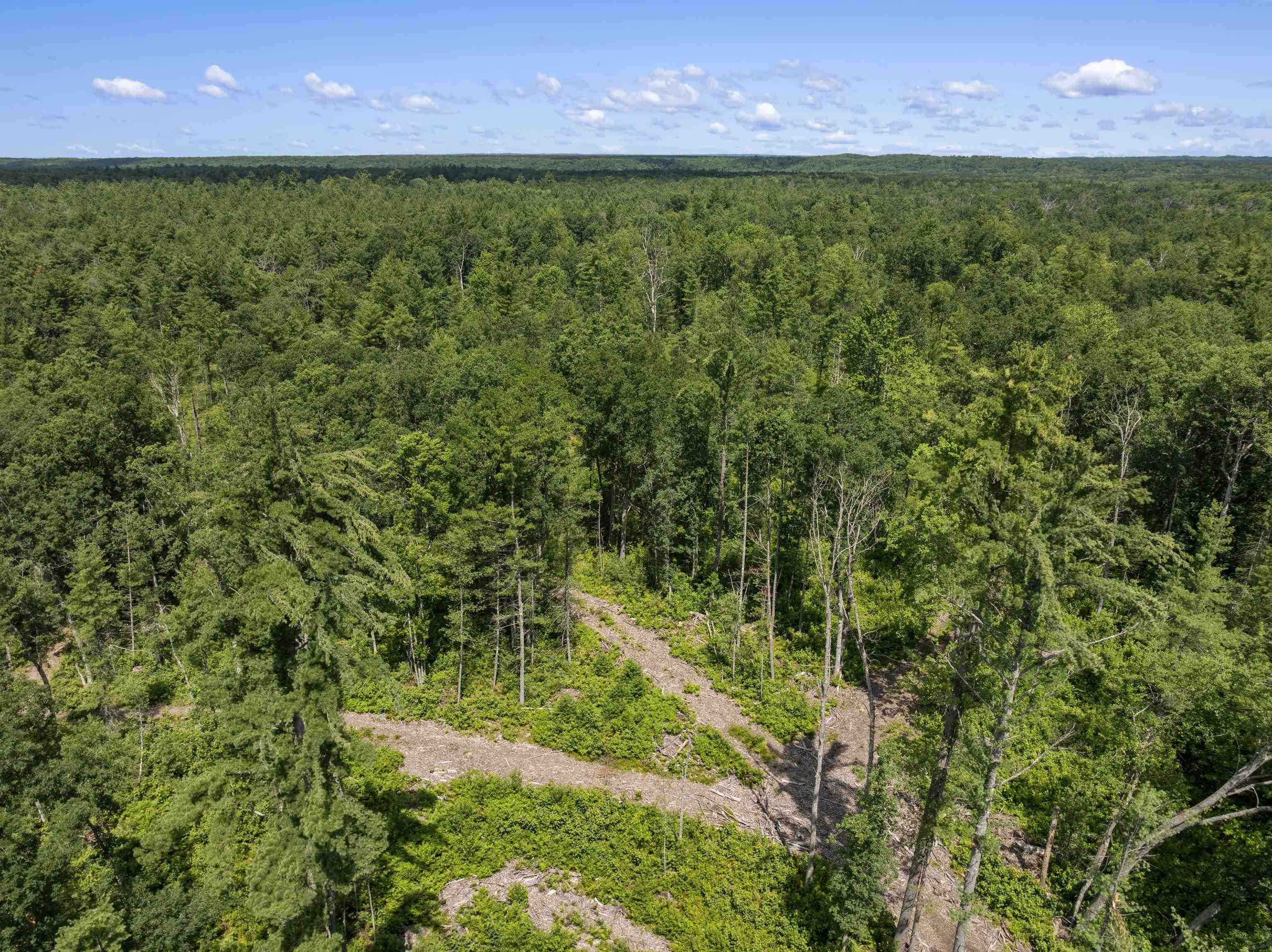 Land for sale at 30 W Acres 48 1/2 Rd, Wellston, MI 49689 | MLS# 78080071495