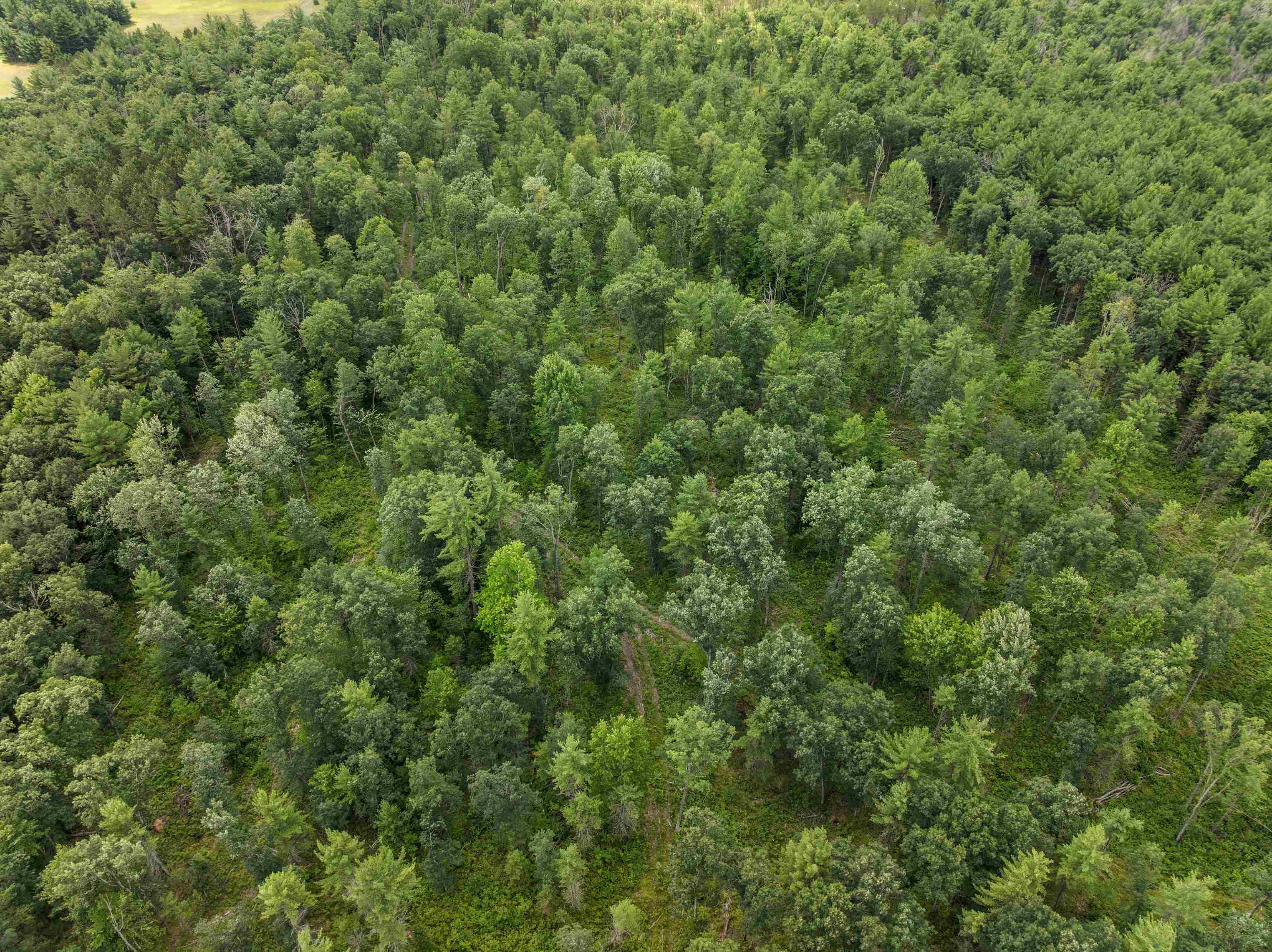 2nd image of 30 Acres W 48 1/2 Rd, Wellston, MI 49689 | MLS# 78080071495